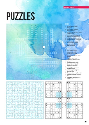 Page 43