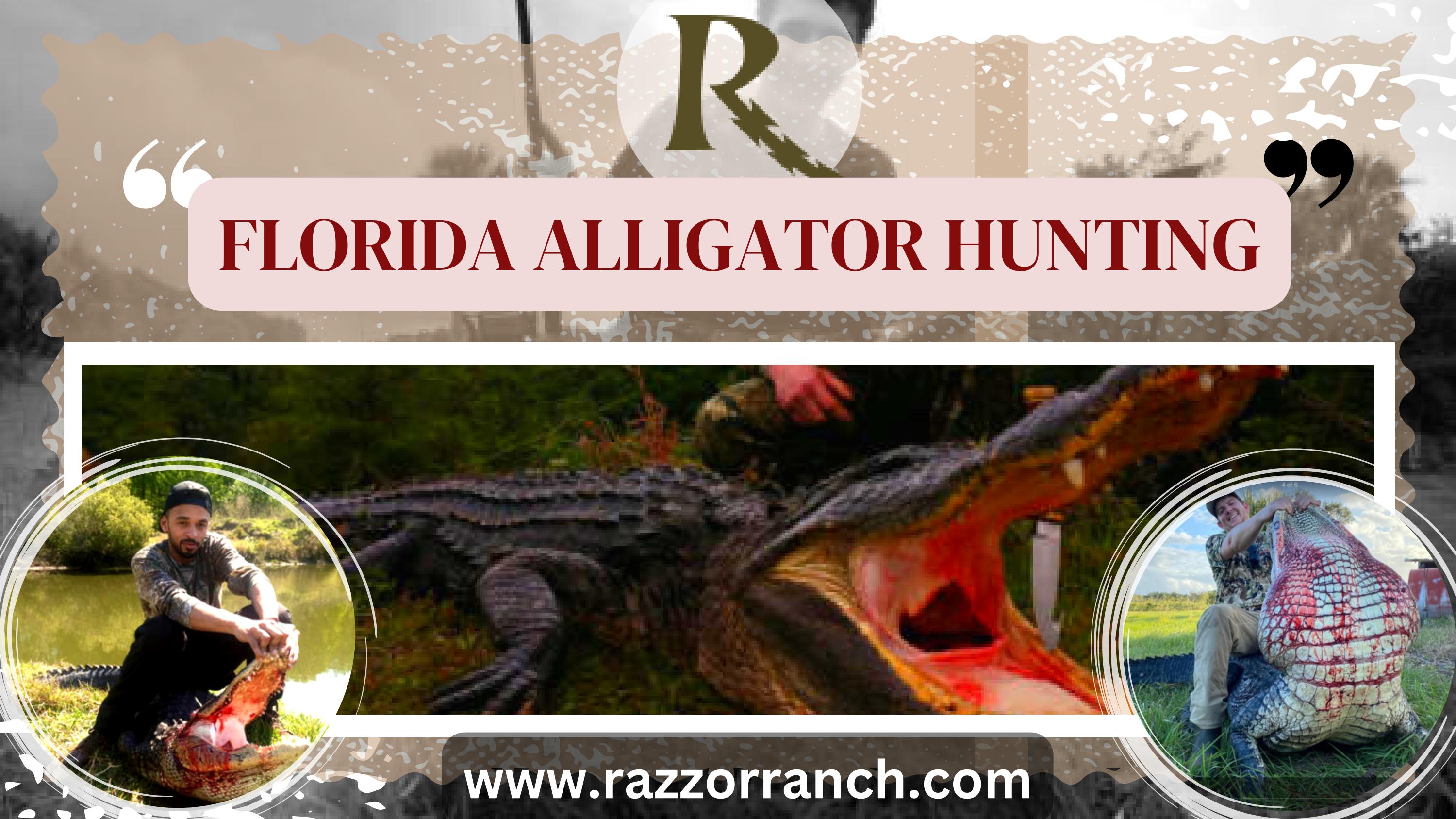 Enjoy the best Florida Alligator Hunting with Razzor Ranch by Razzor