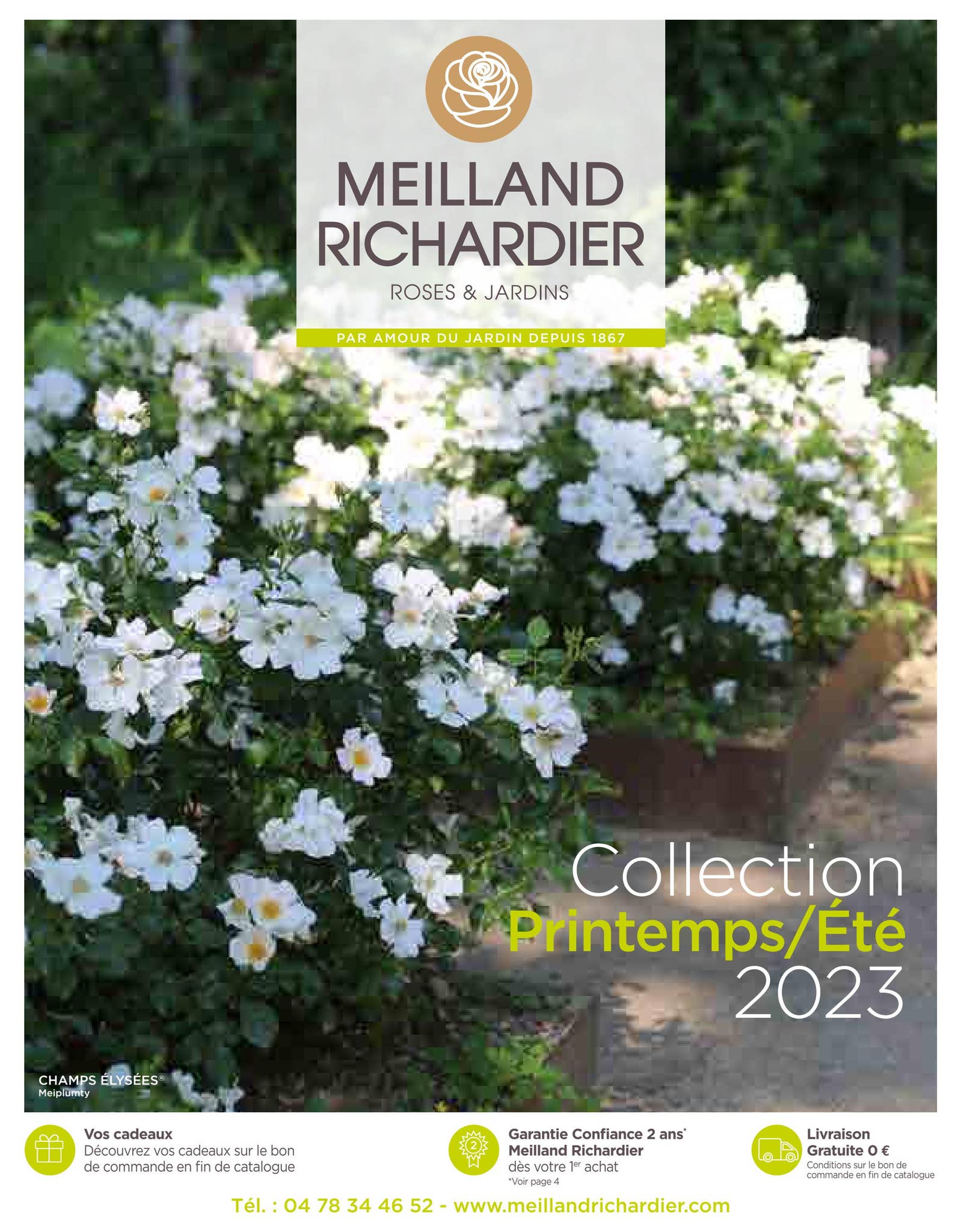Sitemapcdatahttpsrfswindecoocomcode Promo Meilland Richardiernull