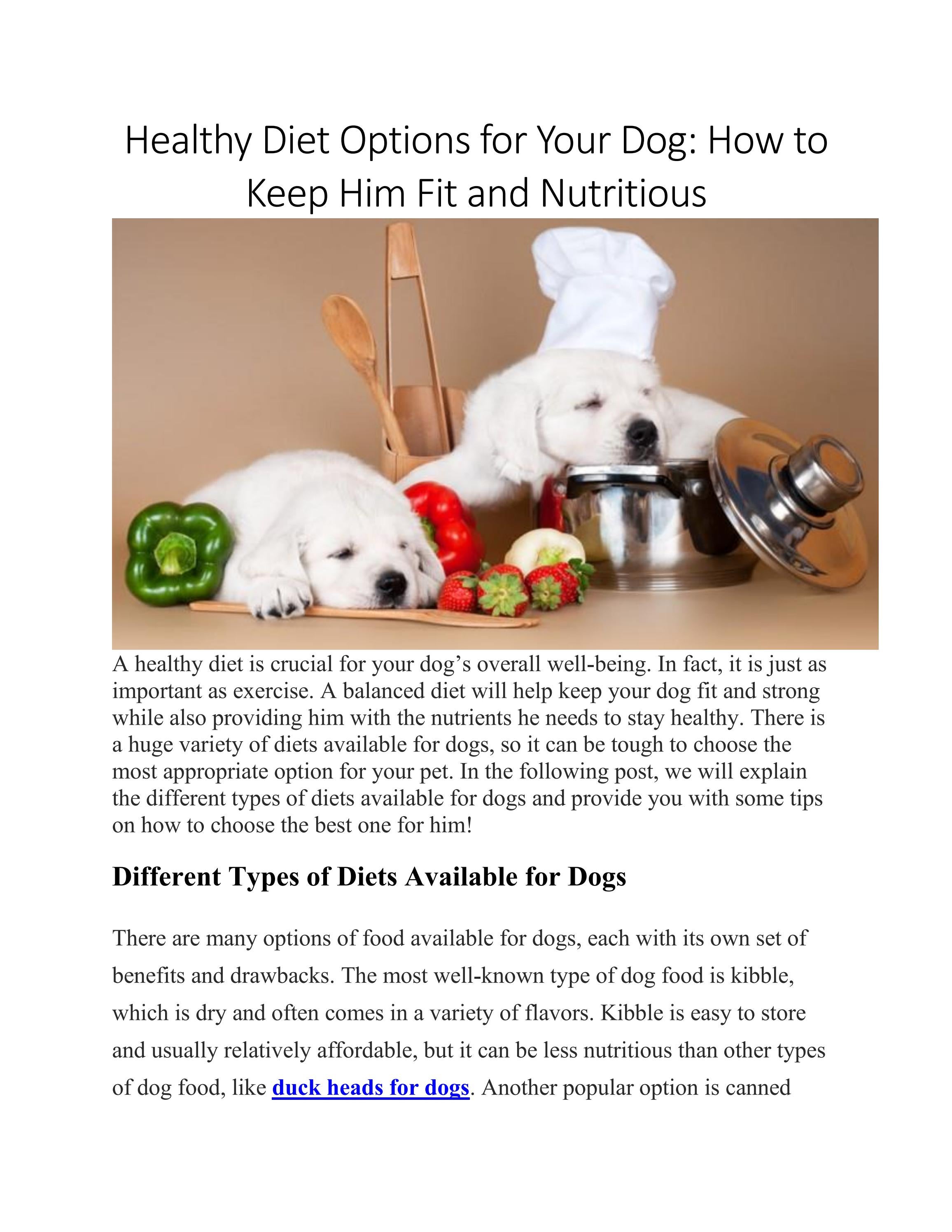 How To Keep Your Dog Fit