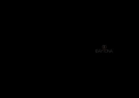 Daytona Brand 册 2022 第 2 页