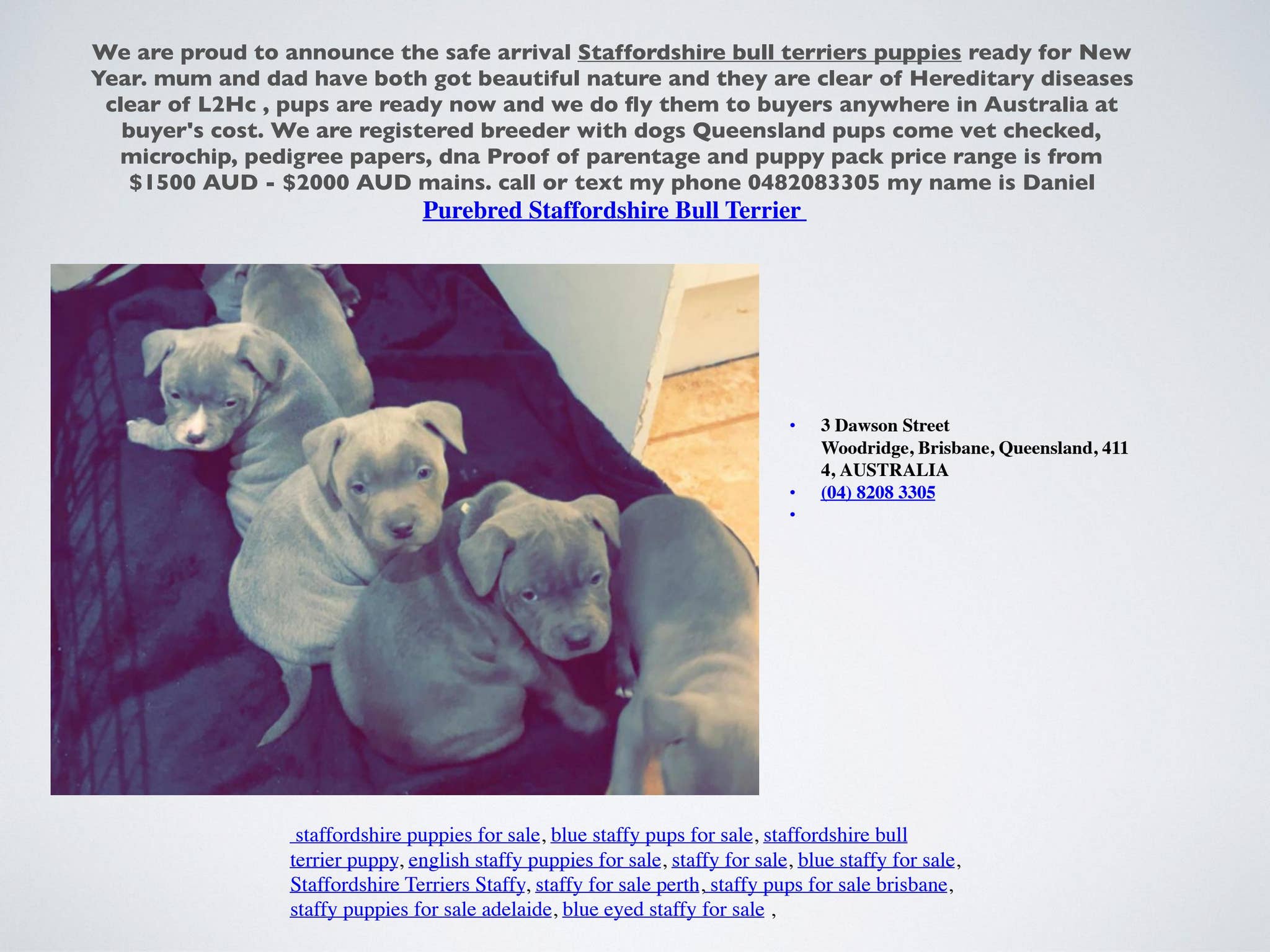staffy for sale perth by English Staffy For Sale - Issuu