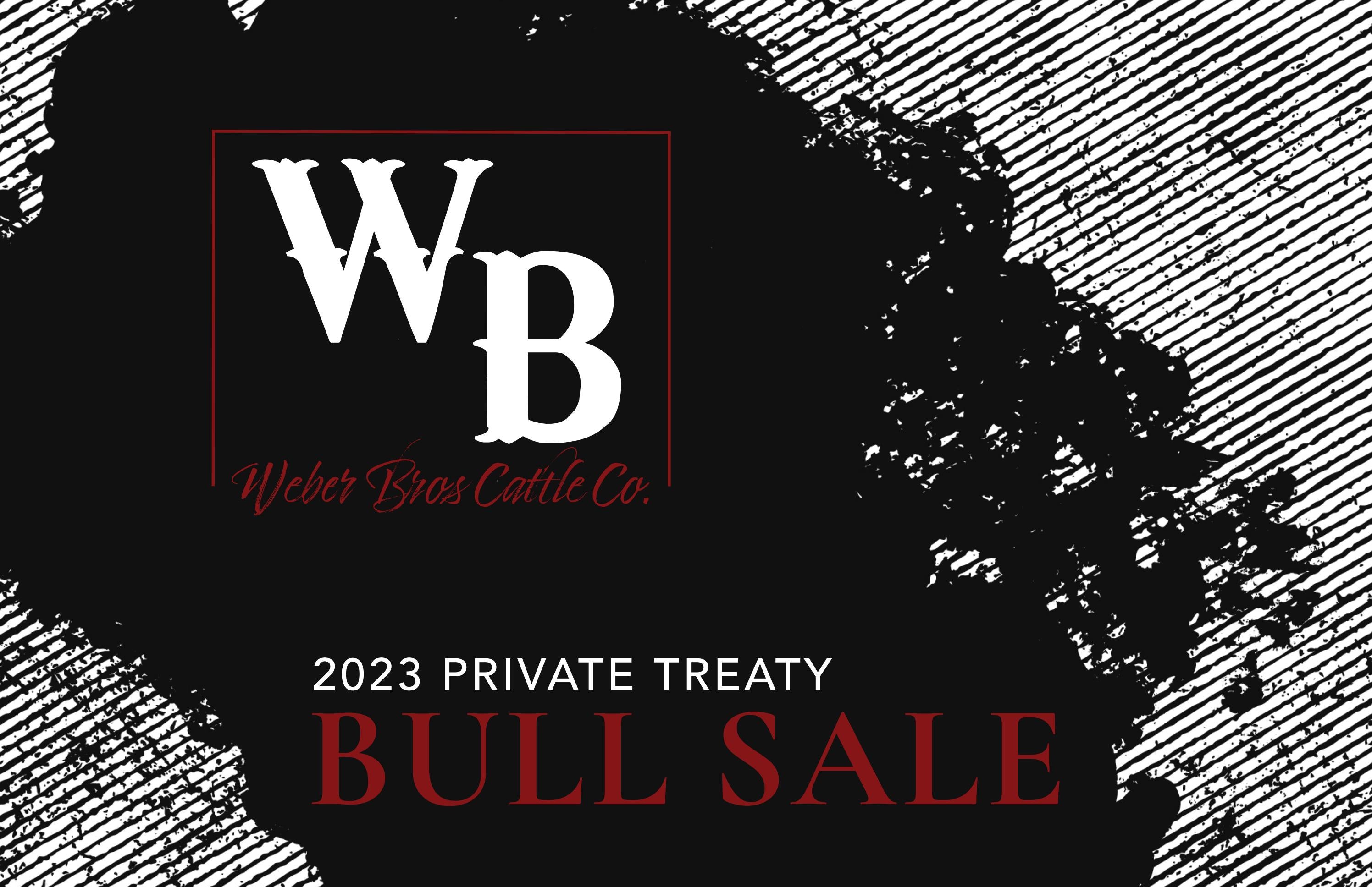 er Bros Cattle Co. 2023 Private Treaty Bull Sale by Abbie Cribbs
