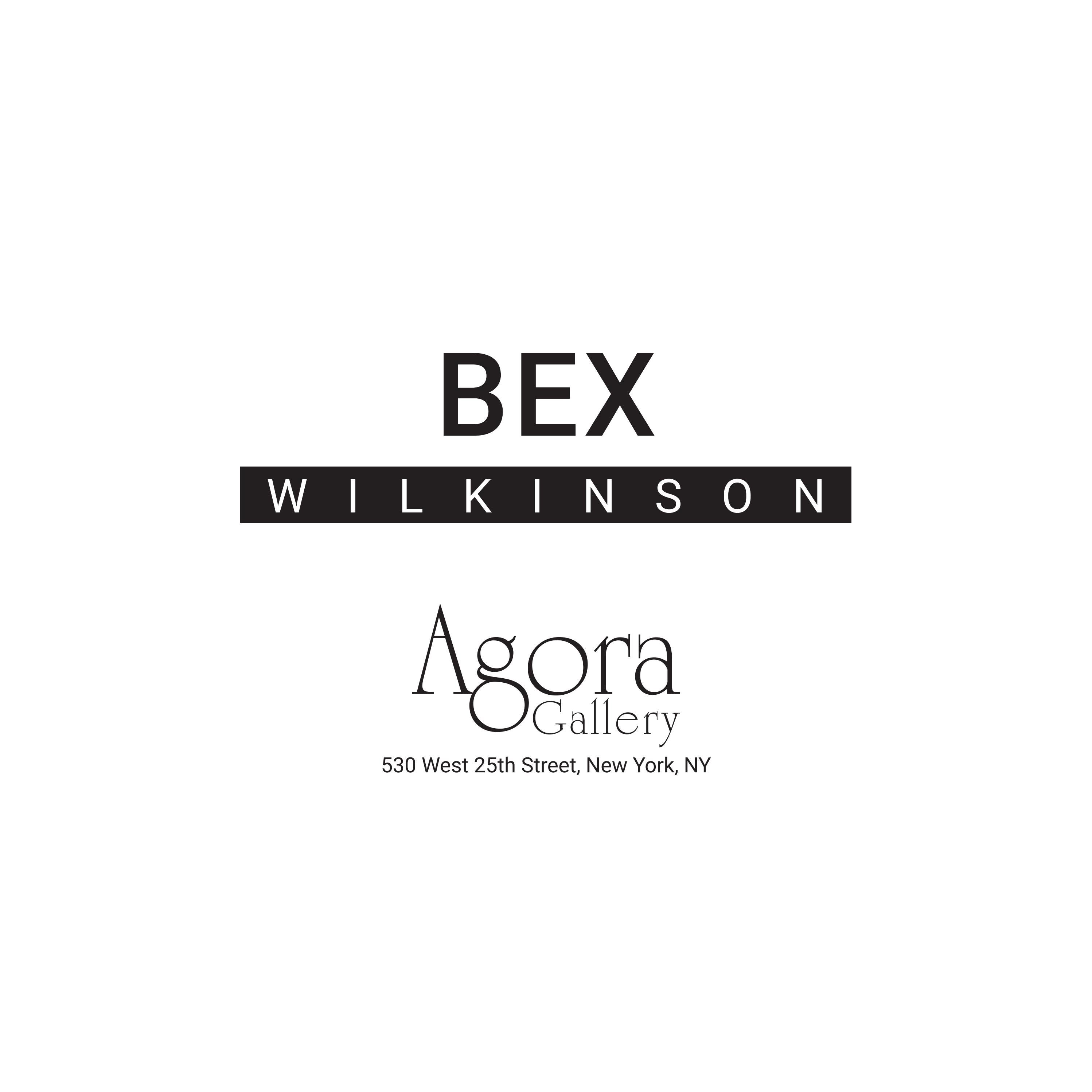 Bex Wilkinson Artist Catalog Agora Gallery by Agora Gallery Issuu