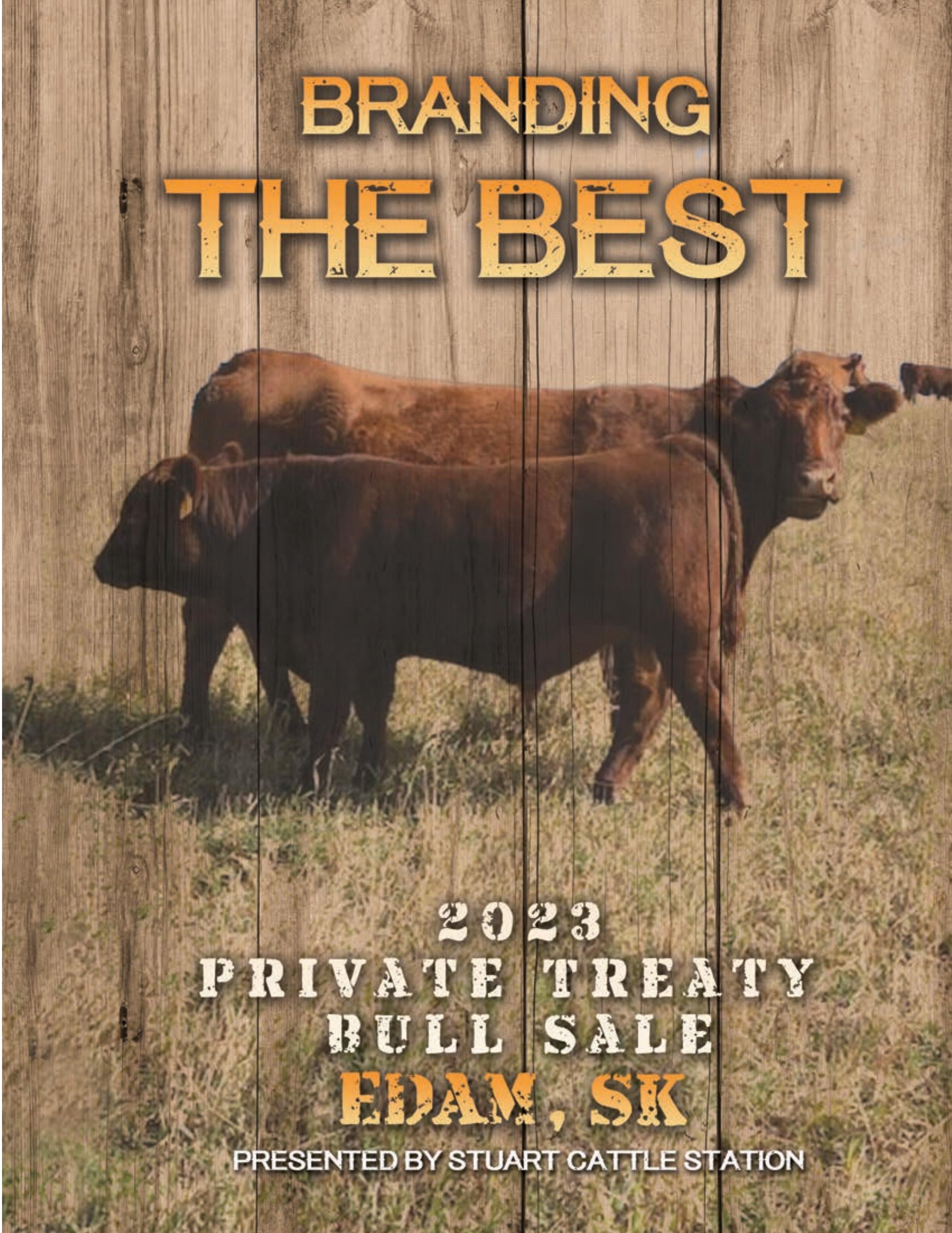 Stuart Cattle Station 2023 Private Treaty Bull Sale by Today's Publishing Inc. Issuu