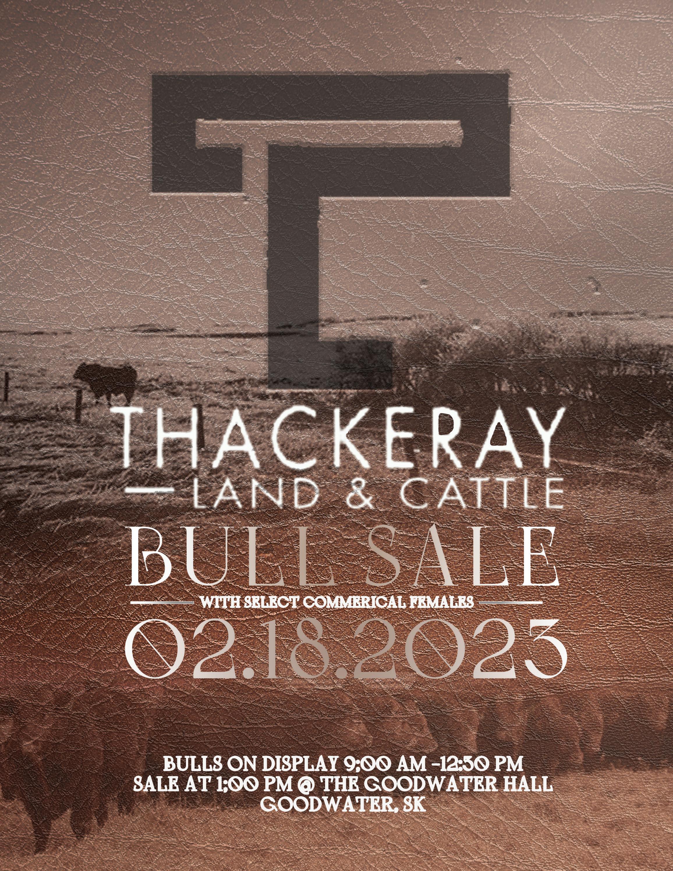 Thackeray Land & Cattle Bull Sale 2023 by Issuu