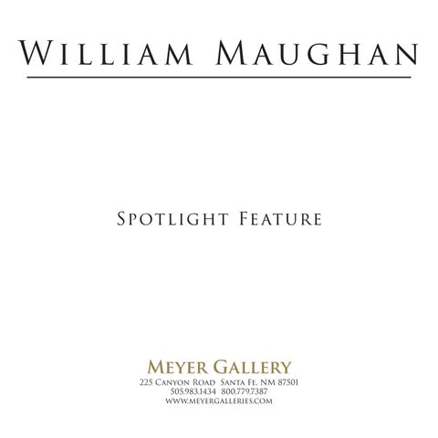 William Maughan: 射灯 Feature 第 3 页