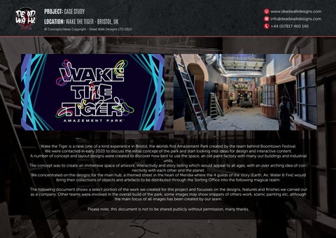 Wake the Tiger Case Study ( 夏季 2022) 第 2 页