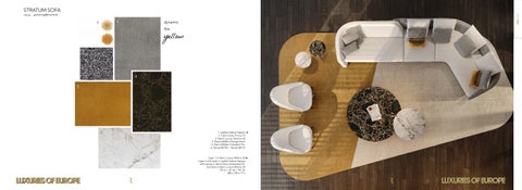 luxuriesofeurope 家具目录 · Sofas and Low Tables 2022 第 11 页