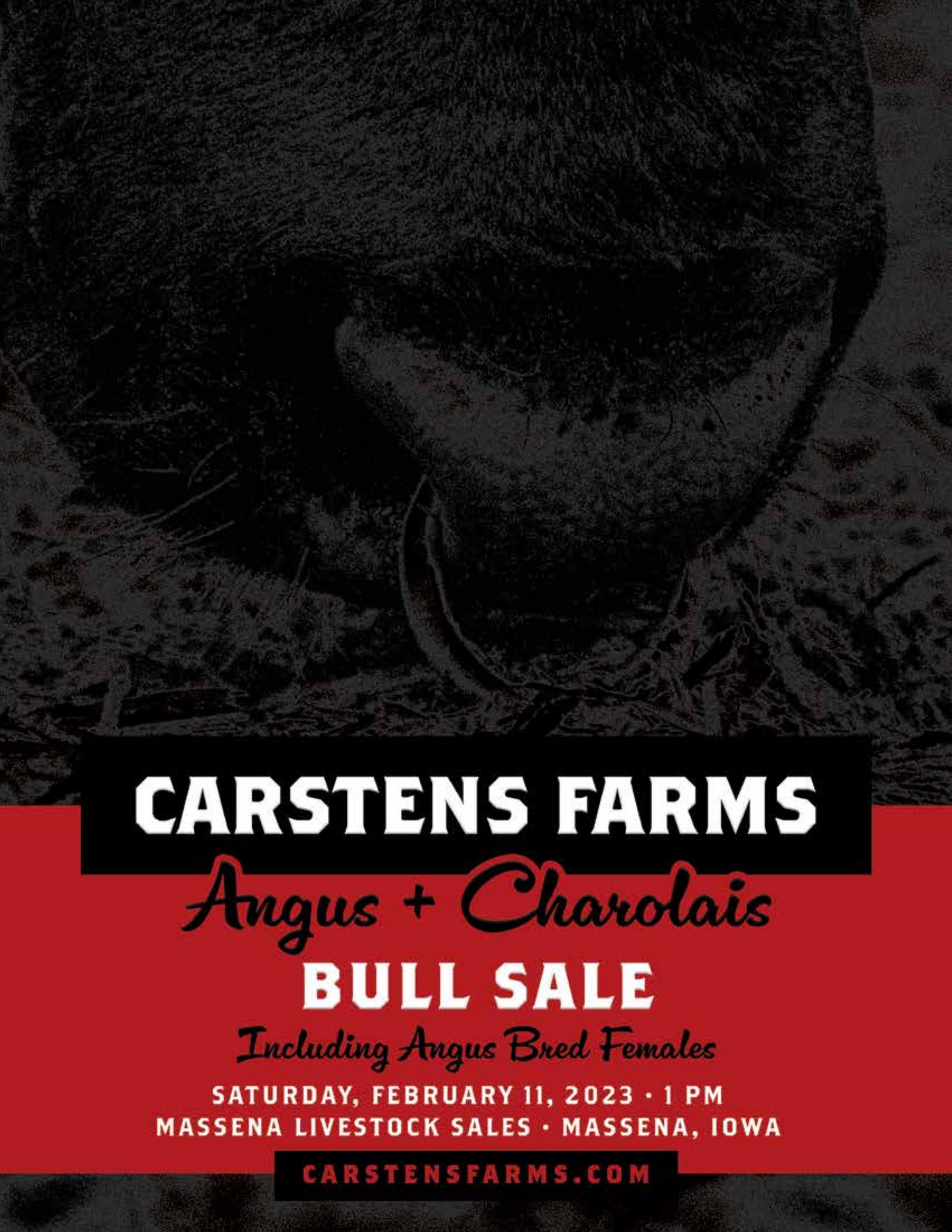 Carstens Farms Bull and Female Sale 2023 by Generation 6 Marketing