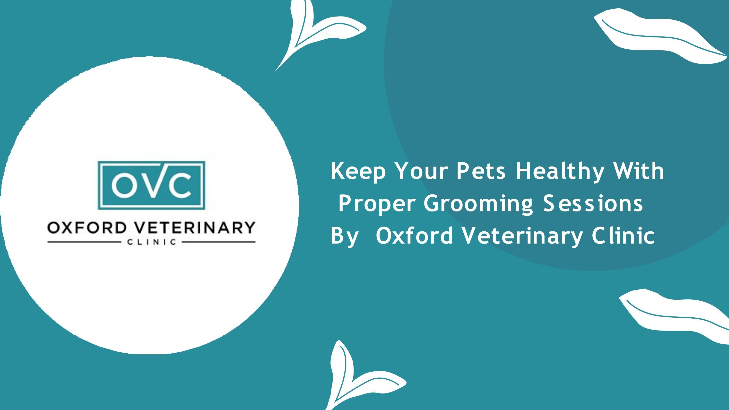 Oxford MS Pet Groomer by Oxford Veterinary Clinic Issuu