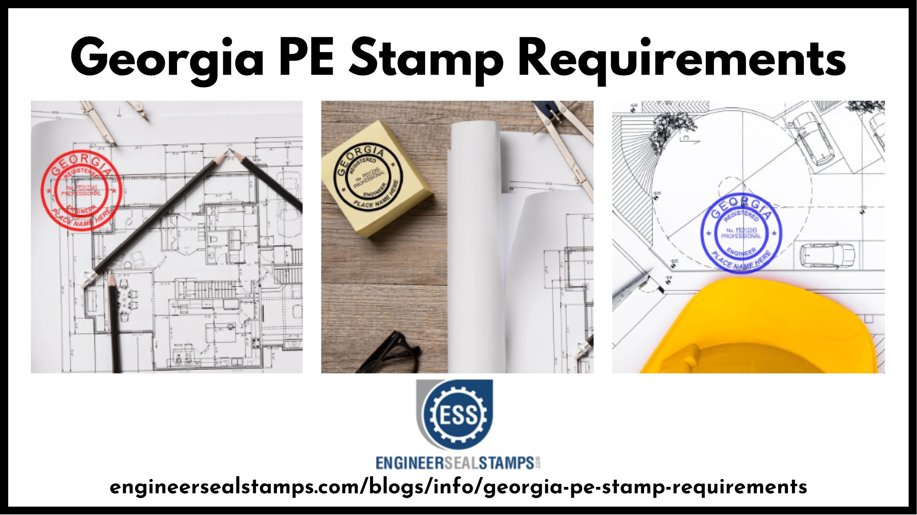 Georgia P Ebt Balance - ana7725