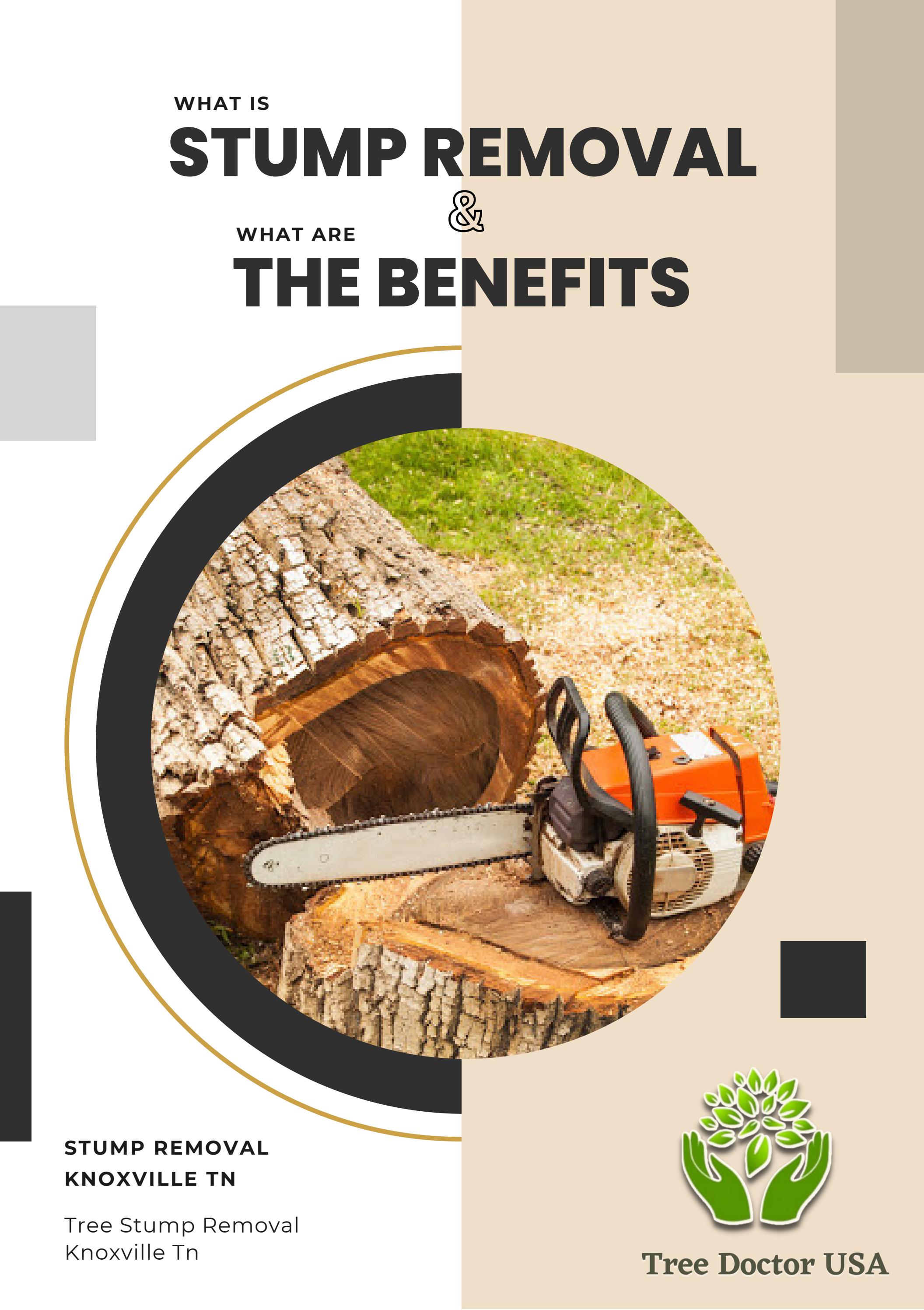 What is stump removal and what are the benefits? by