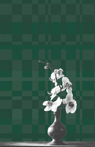 Carnaby 第 13 页