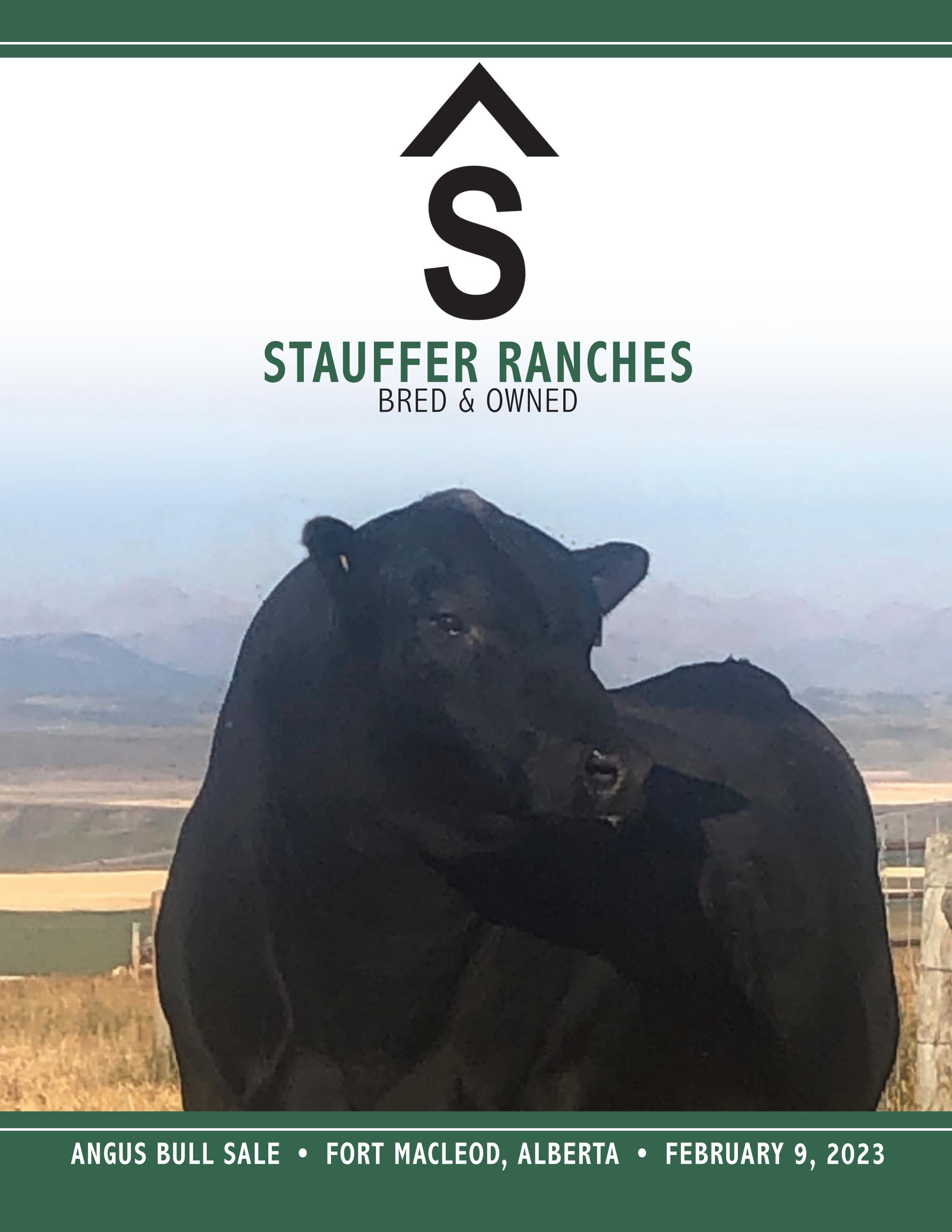 Stauffer Ranches 2023 Bull Sale by Canadian Angus Association Issuu