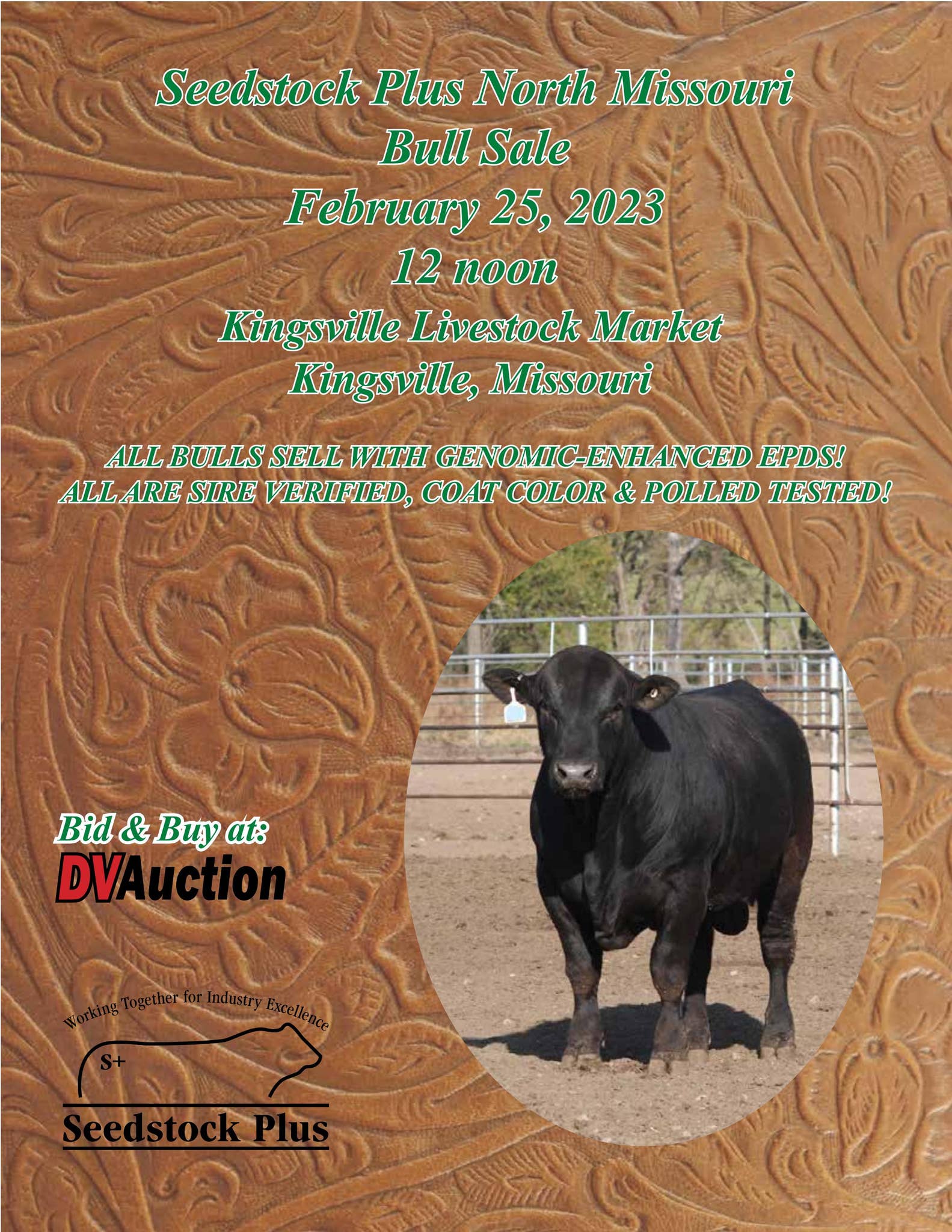 Seedstock Plus North Missouri Bull Sale by American Gelbvieh ...