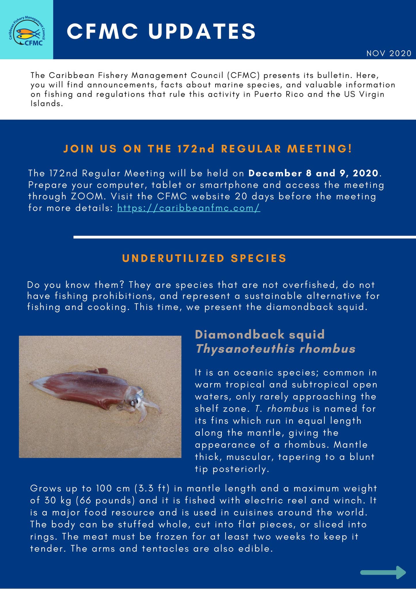 CFMC Updates (November 2020) by Caribbean Fishery Management Council ...