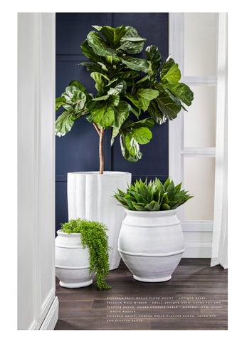 Pots × Planters 灯饰产品集 第 5 页