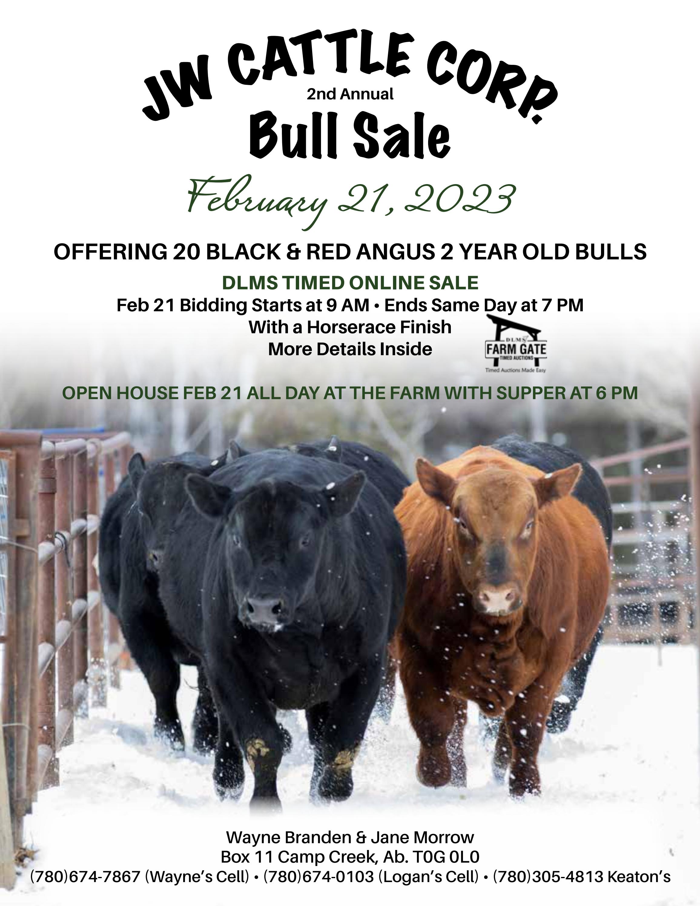 JW Cattle Co. Bull Sale DLMS Farm Gate Timed Auction by DLMSCattlevids.ca Issuu
