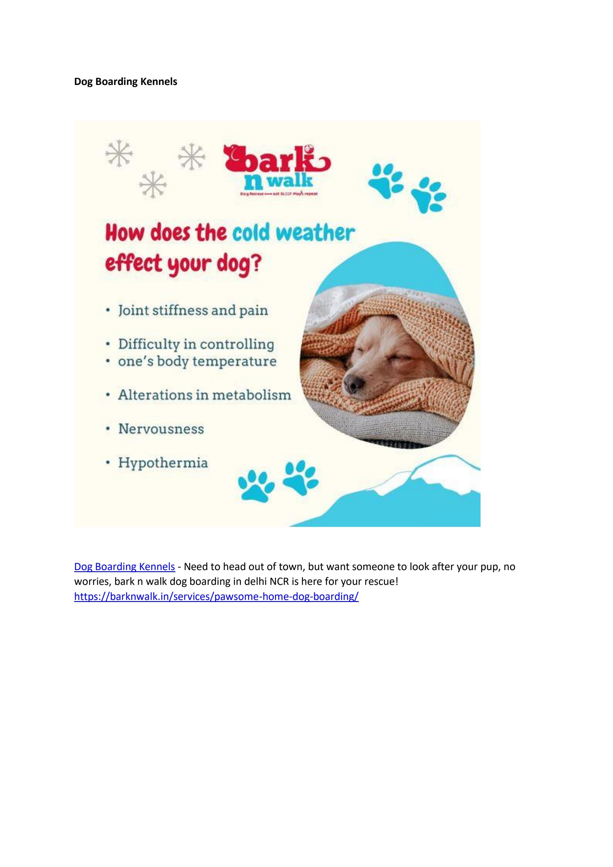 dog kennels in delhi by barkn walk Issuu