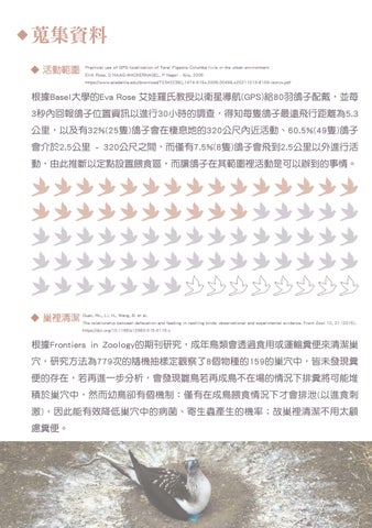 111-1 企劃書 - 鴿浪嶼 第 12 页