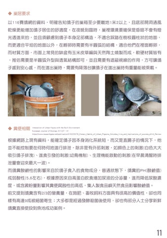 111-1 企劃書 - 鴿浪嶼 第 13 页