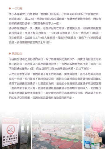 111-1 企劃書 - 鴿浪嶼 第 14 页