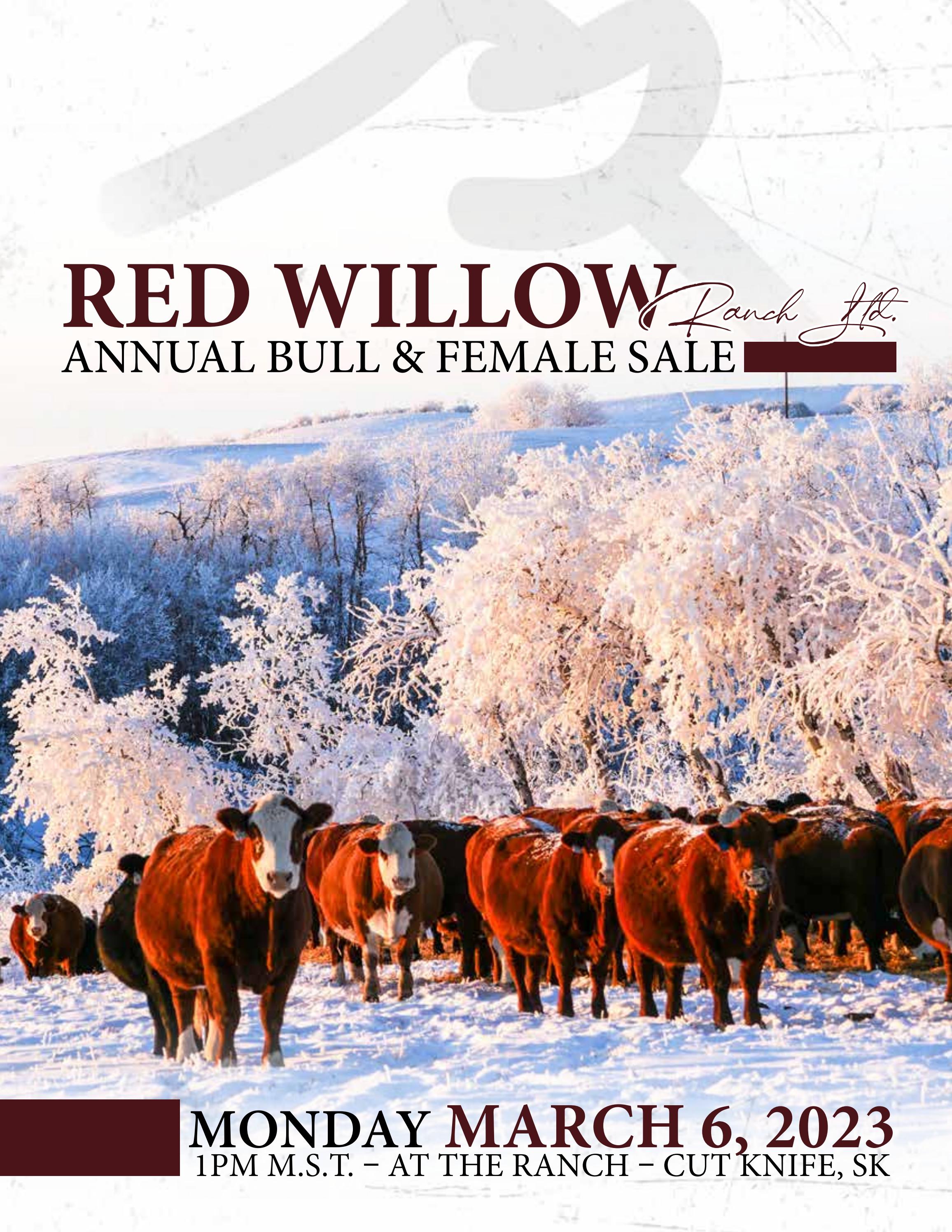 Red Willow Ranch 2023 Annual Bull & Female Sale by Bohrson Marketing