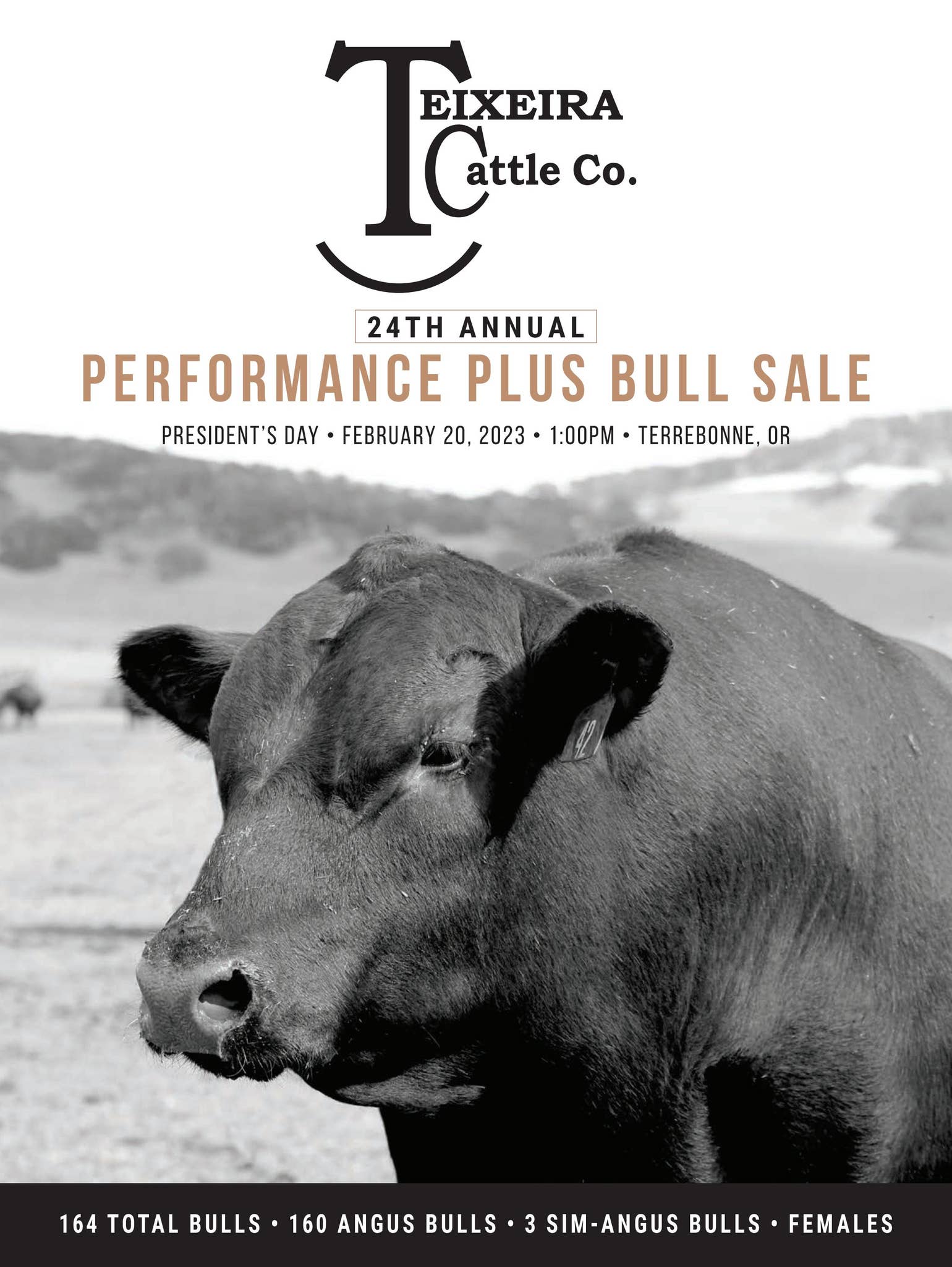 その他 Cattle Call [CD] Cattle Call: Early Cowboy Music and Its Roots by Various