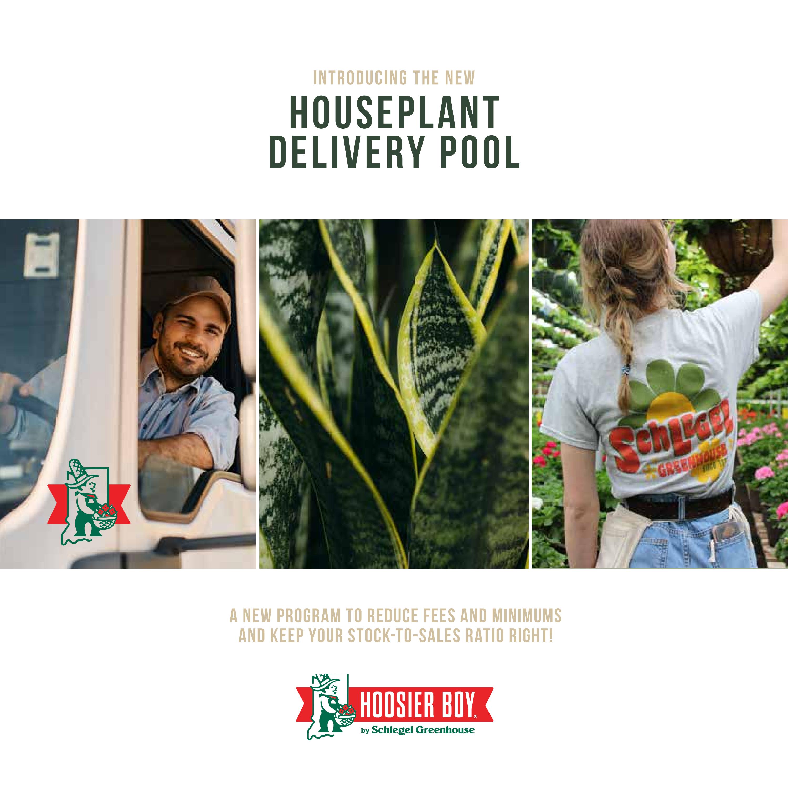 Hoosier Boy Houseplant Delivery Pool by Mario Mirelez Issuu