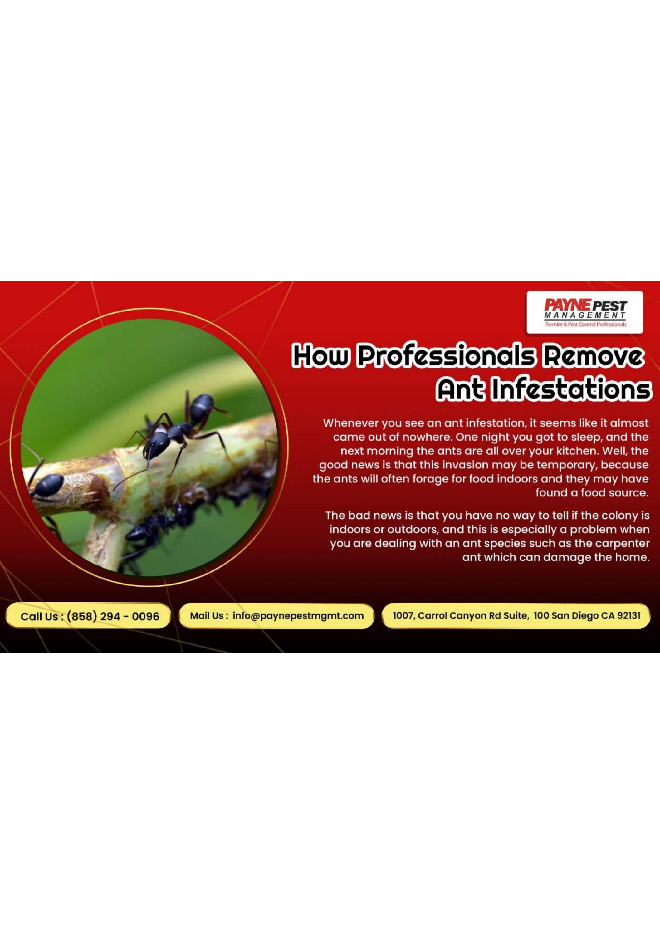 Orange County Pest Control San diego Pest Inspection by Payne pest