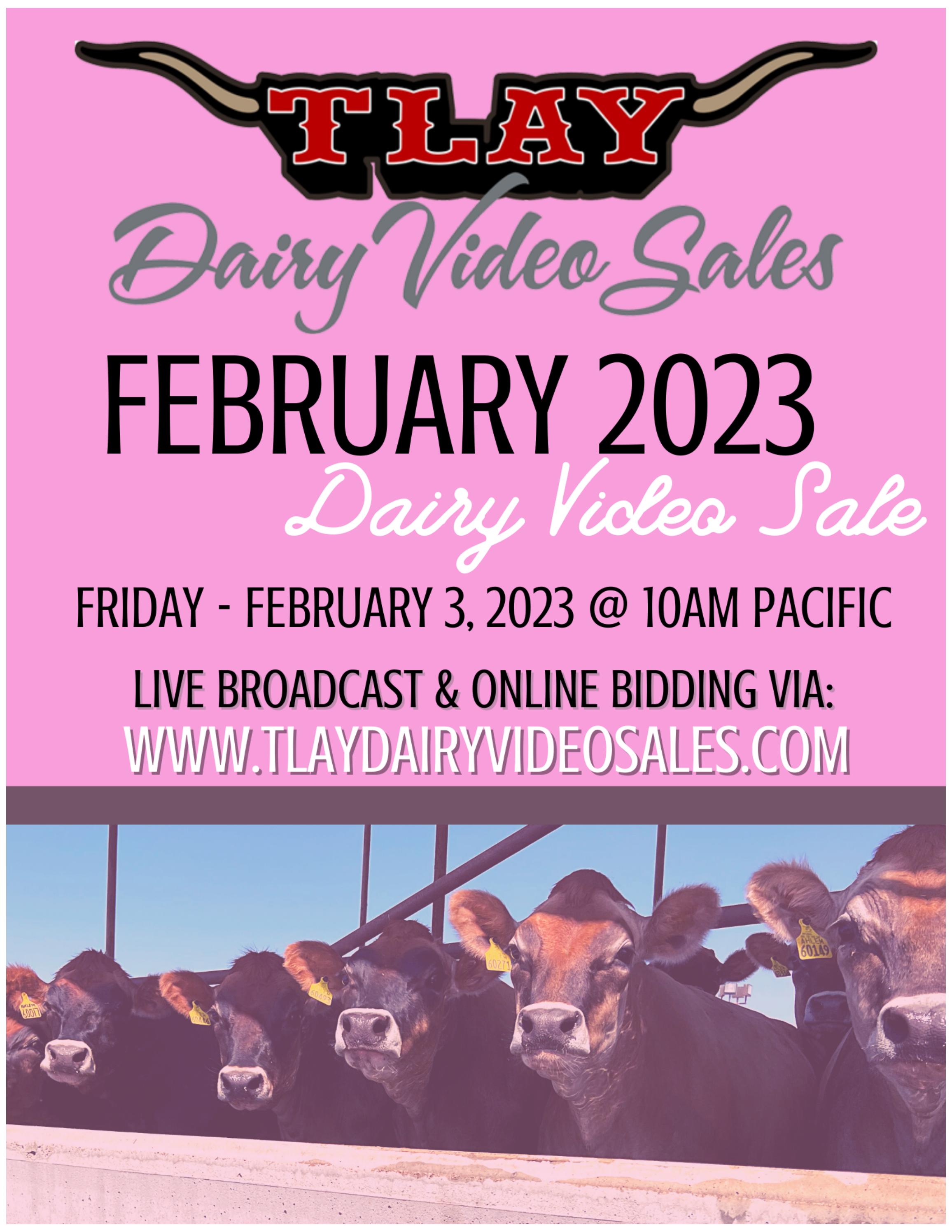 FEBRUARY 2023 DVS CATALOG by TURLOCK LIVESTOCK AUCTION YARD - Issuu