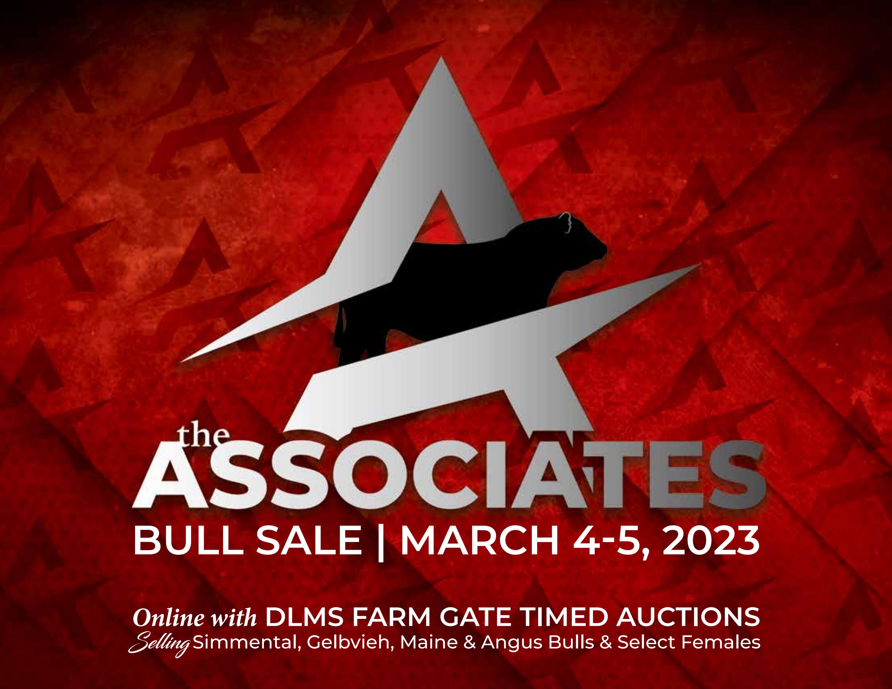 The Associates Bull Sale 2023 by Bohrson Marketing Services Ltd. Issuu