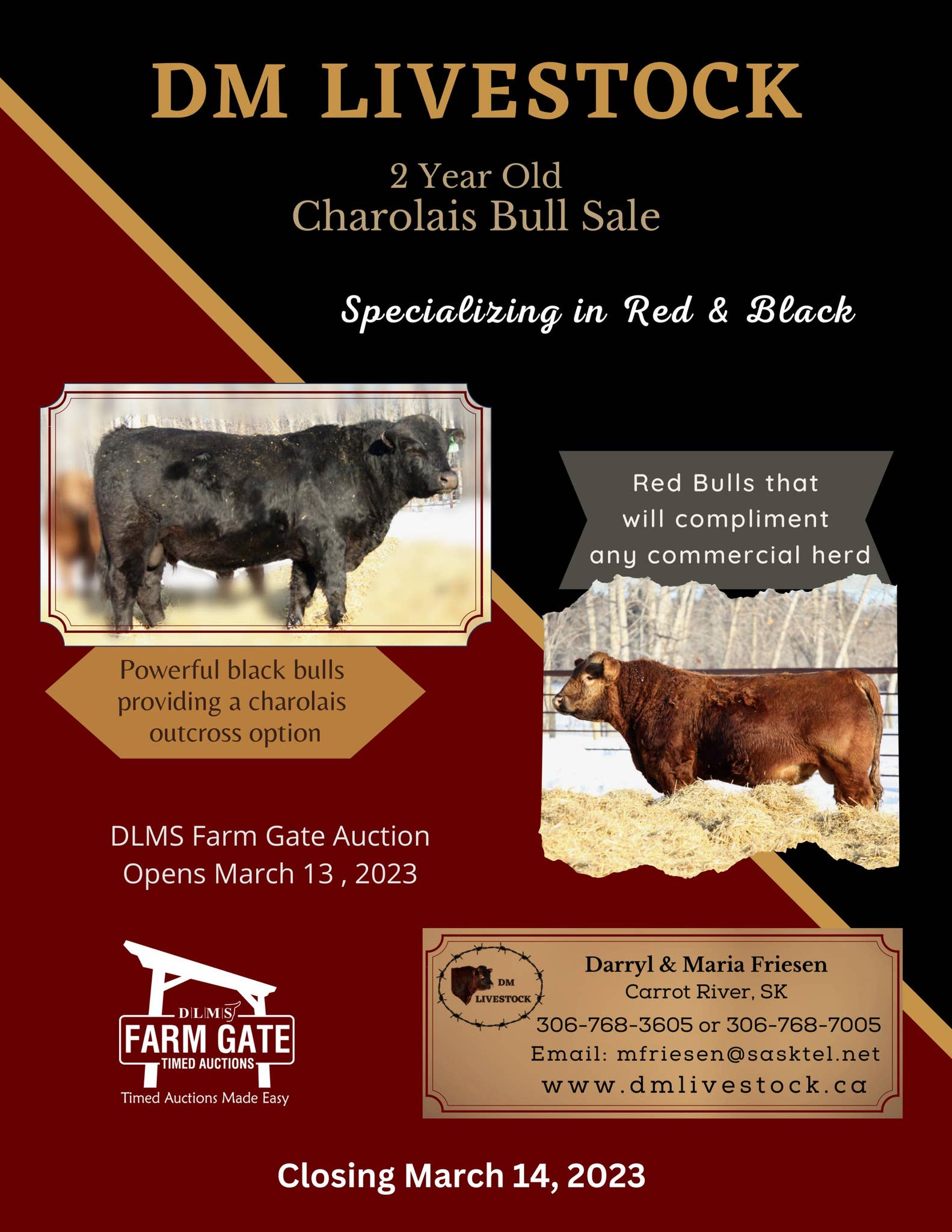 DM Livestock Bull Sale - DLMS Farm Gate Timed Auction by DLMS ...