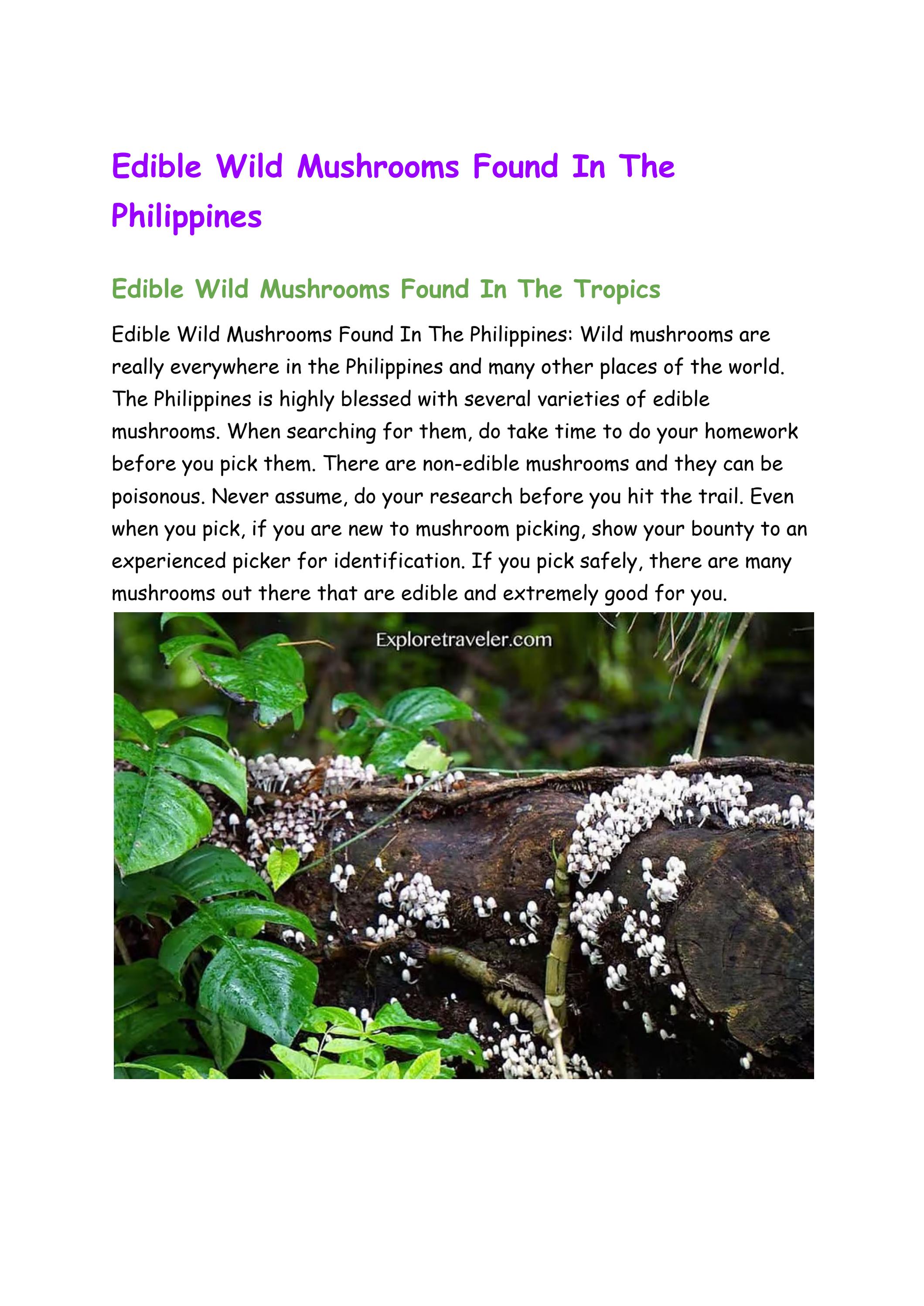 Edible Wild Mushrooms Found In The Philippines ExploreTraveler by
