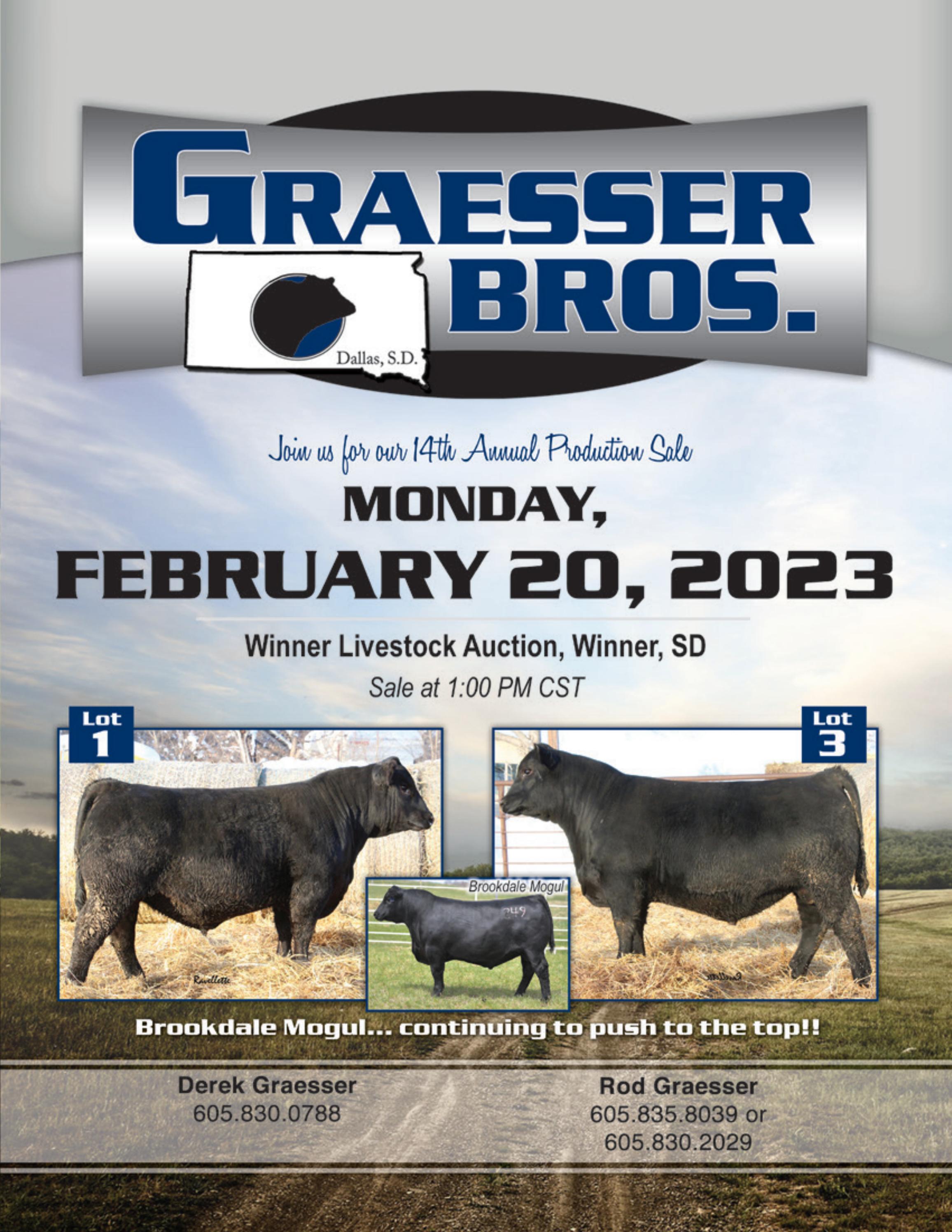 Graesser Bros 2023 Catalog by RPI Promotions Issuu
