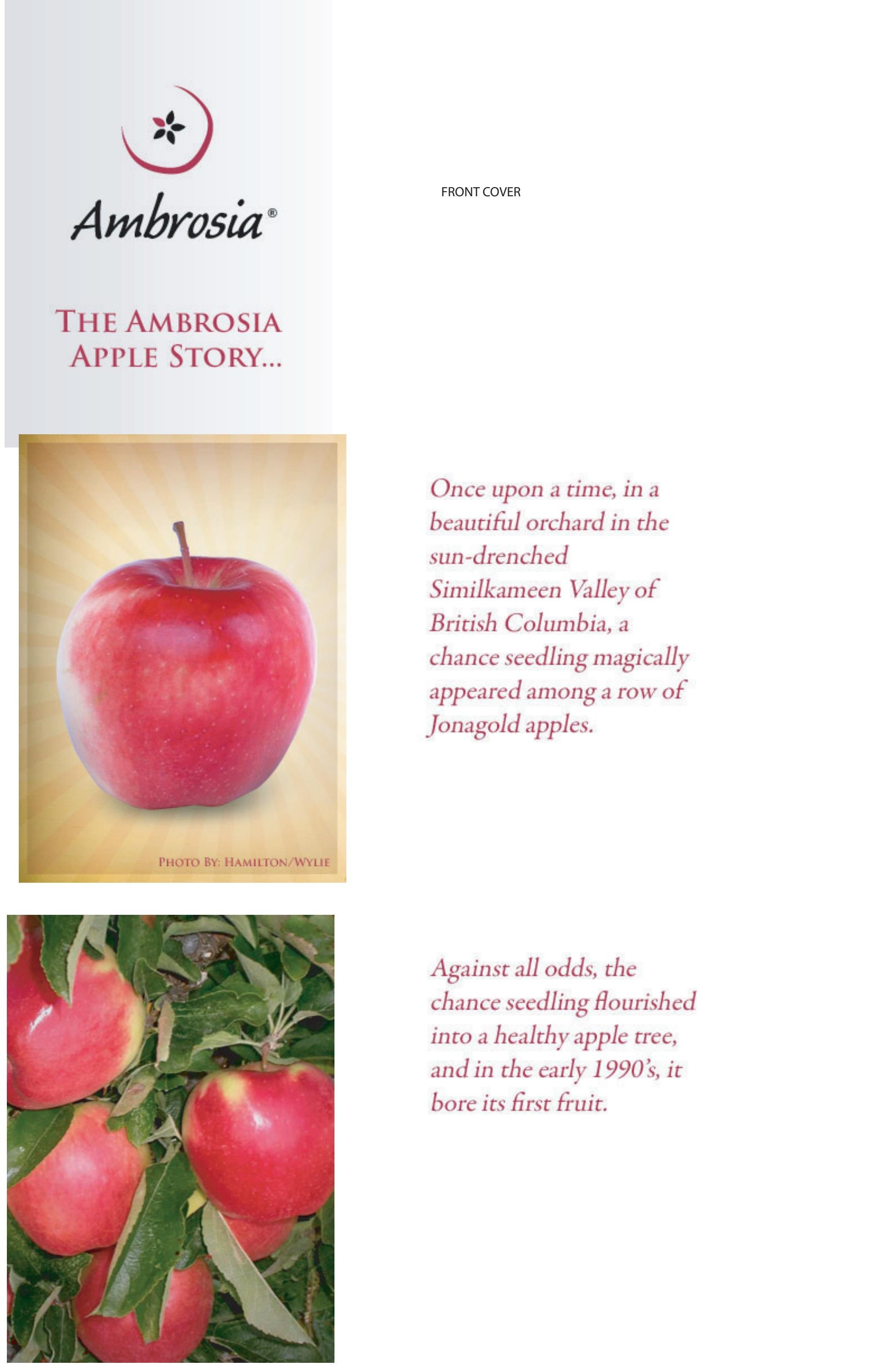 The Ambrosia Apple Story by Lynks Issuu