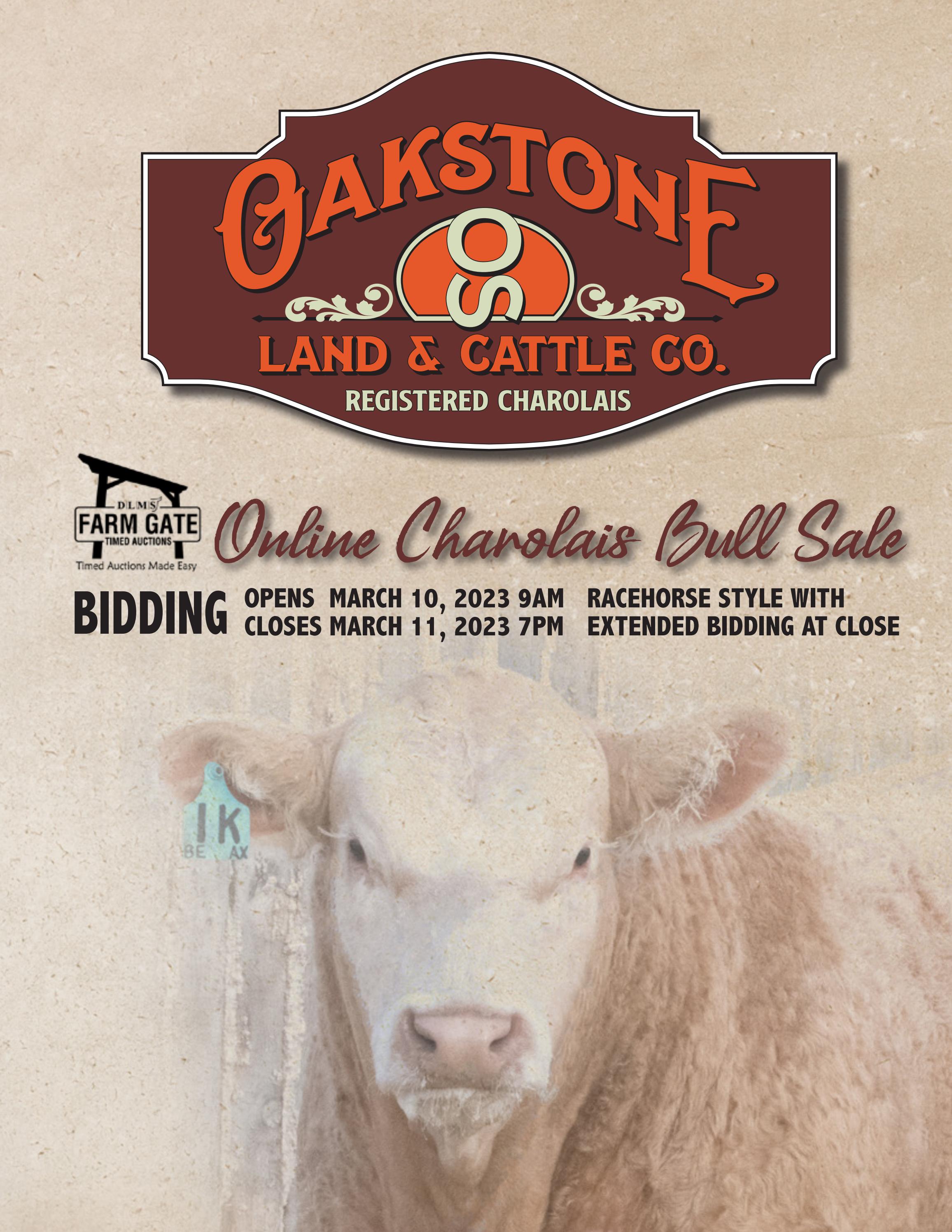 Oakstone Land & Cattle 2023 Online Charolais Bull Sale by Today's