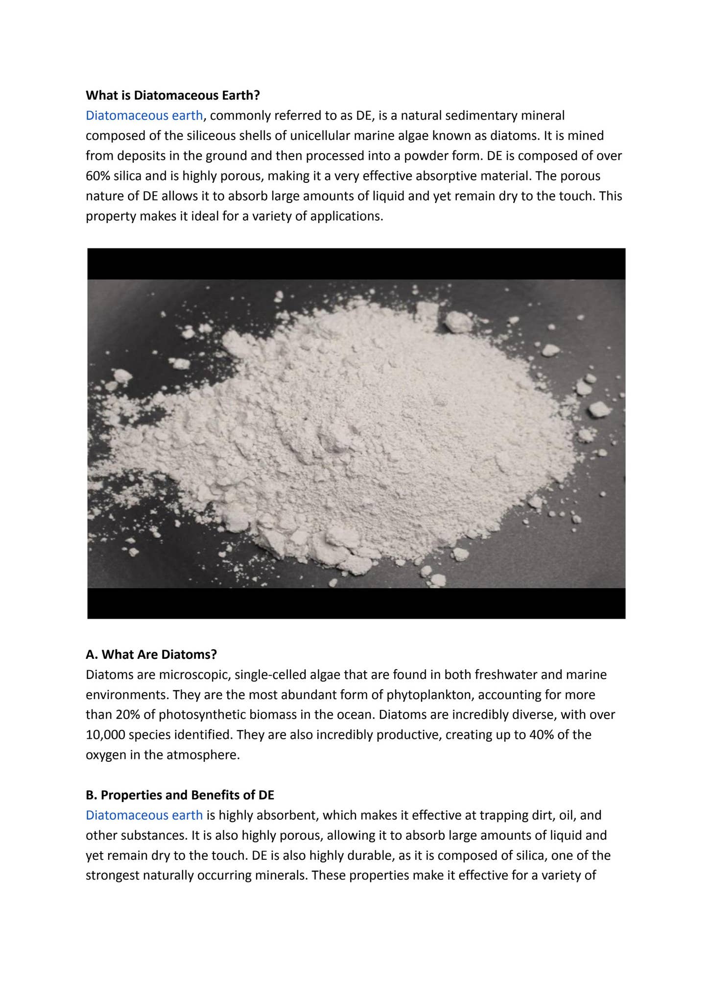 The Many Uses of Diatomaceous Earth by Seema Minerals - Issuu