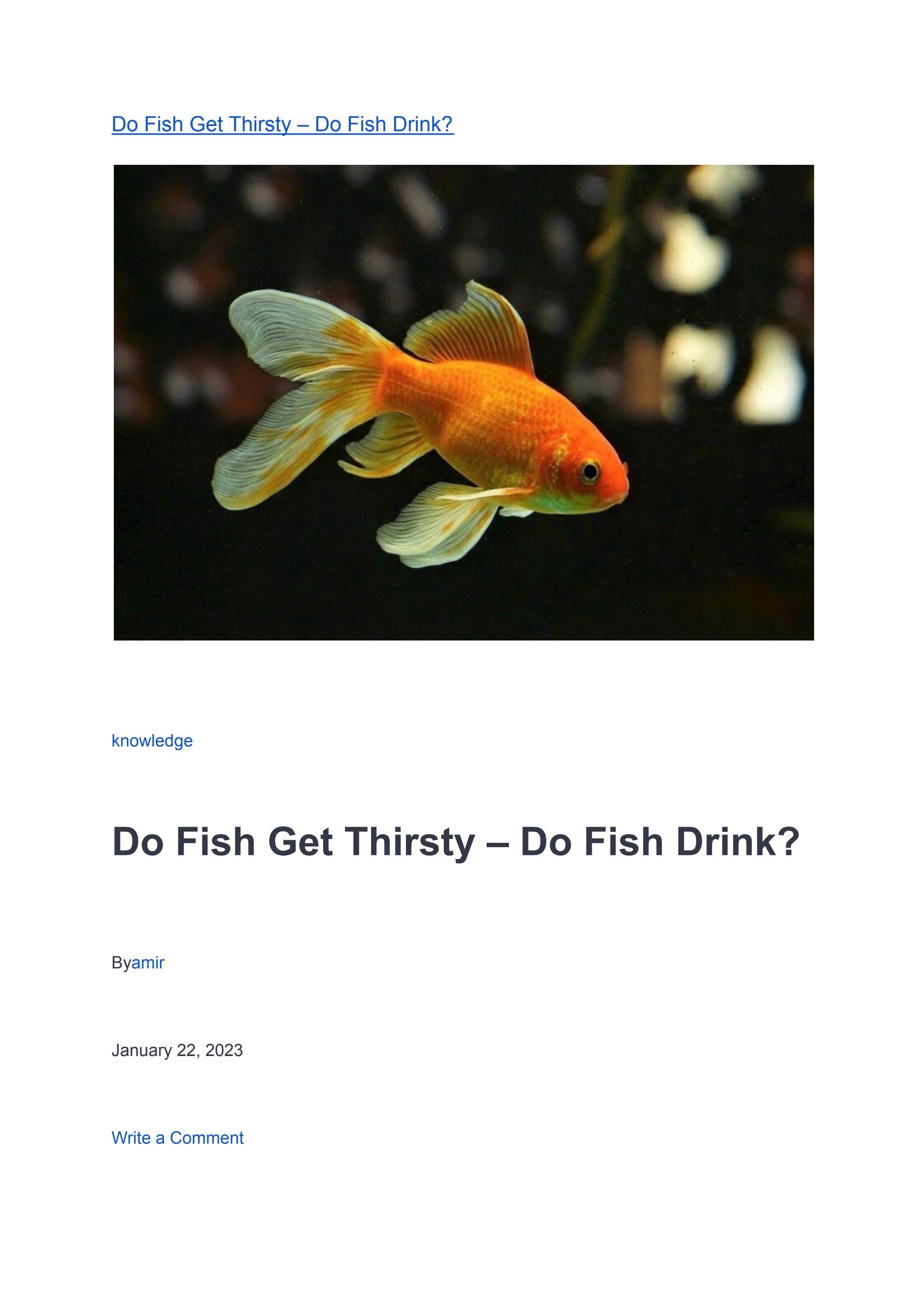 A Brief Discussion on Fish & its types by Amir - Issuu