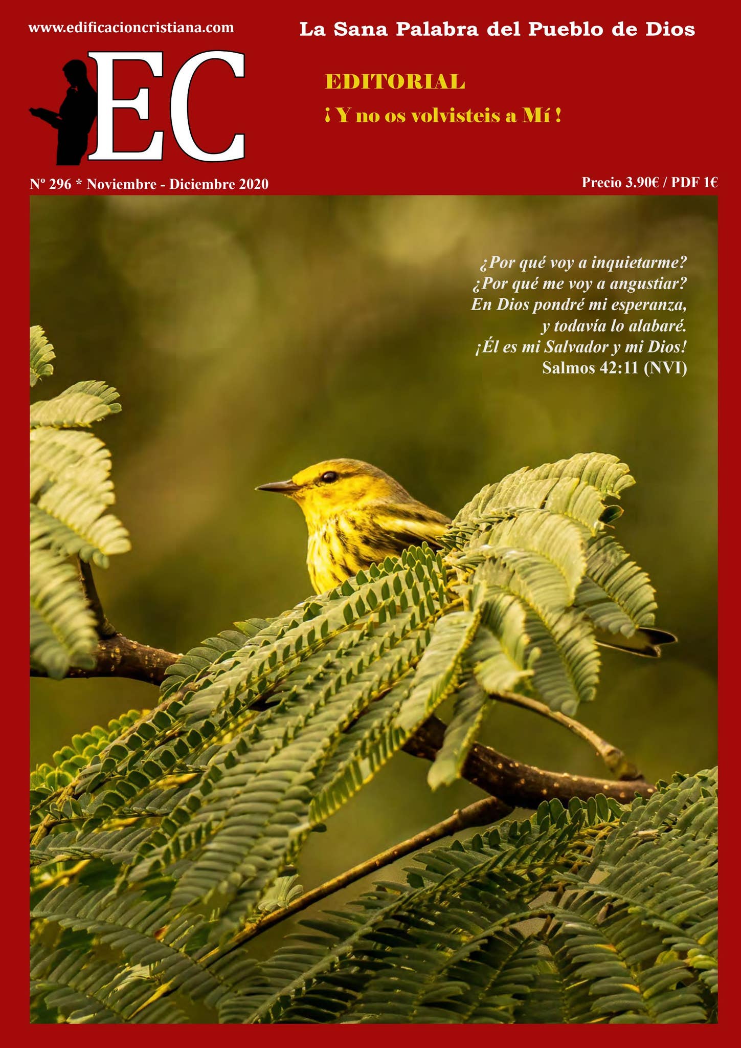 Dañar el viento solano alguna cosa (99) foto