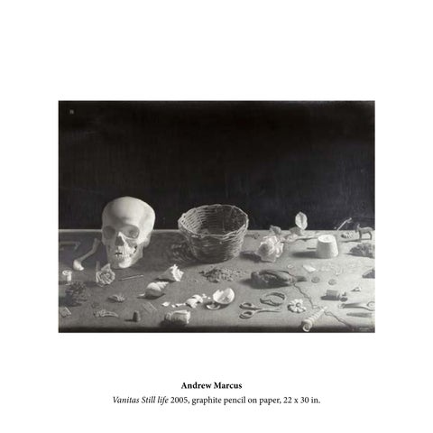 Paperscapes 第 19 页
