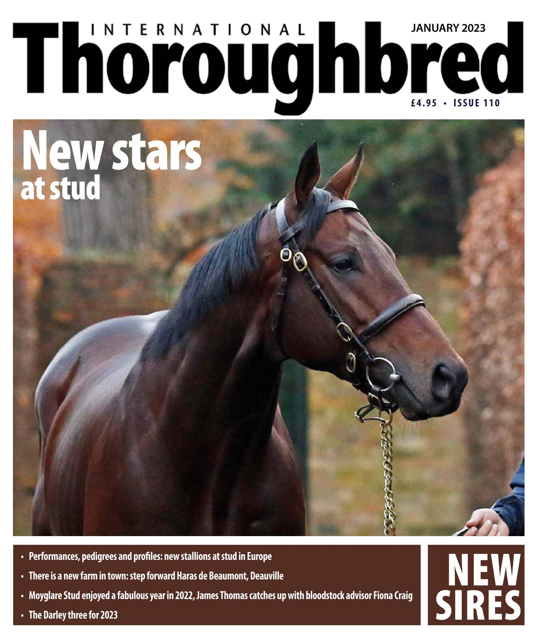 ITB_January 2023 by International Thoroughbred - Issuu