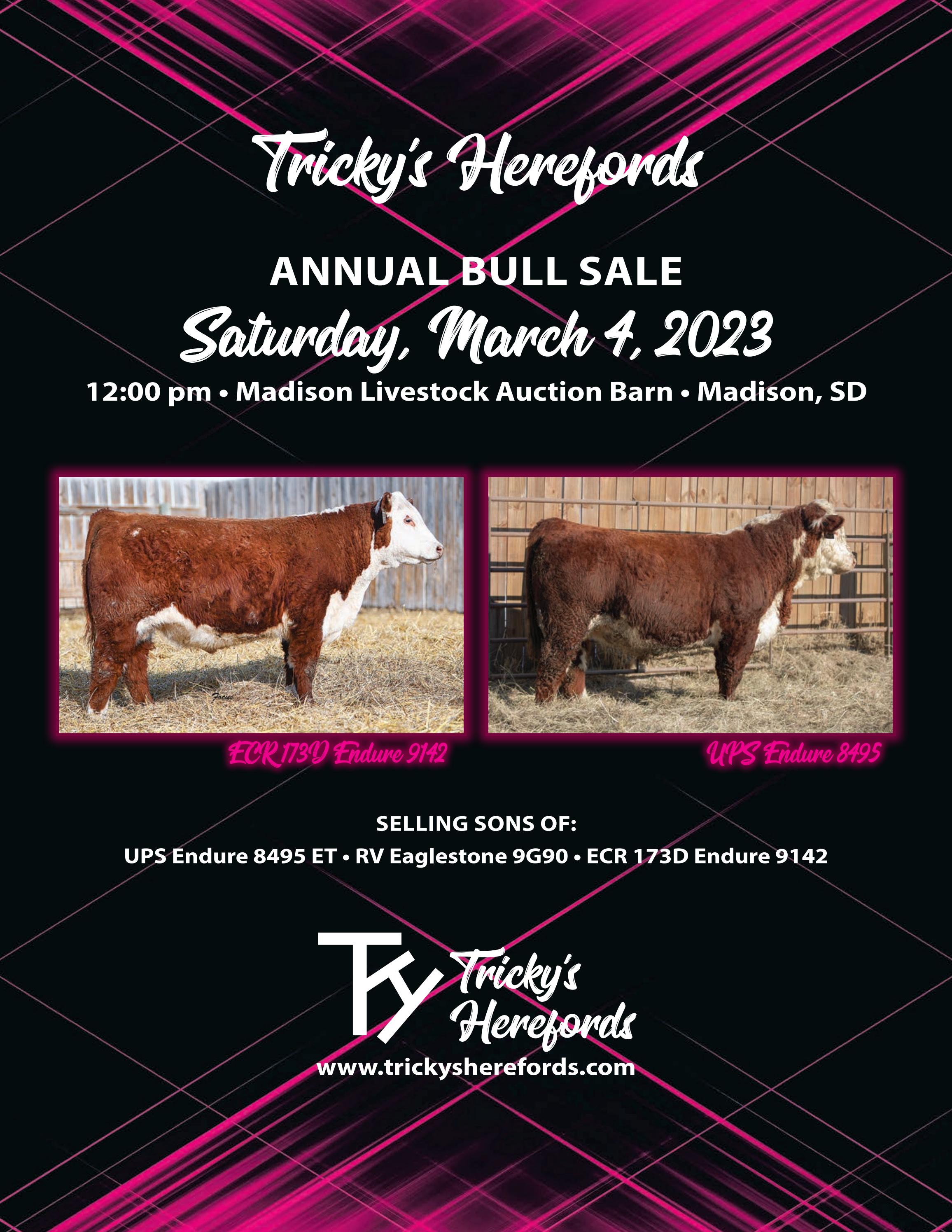 Hereford American Tricky's Herefords 2023 Spring Catalog by