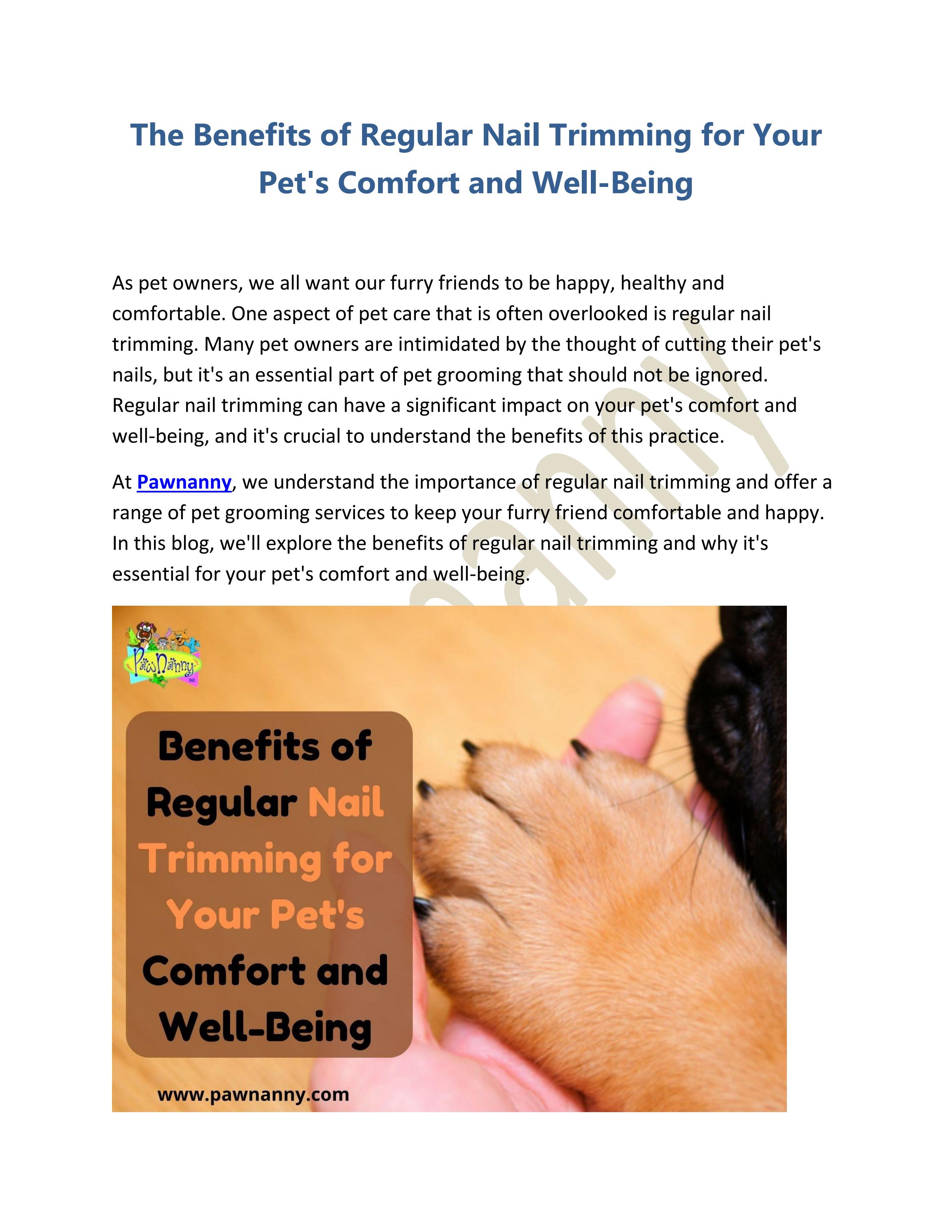 Nail Trimming For Dogs Petco - uamp7kv