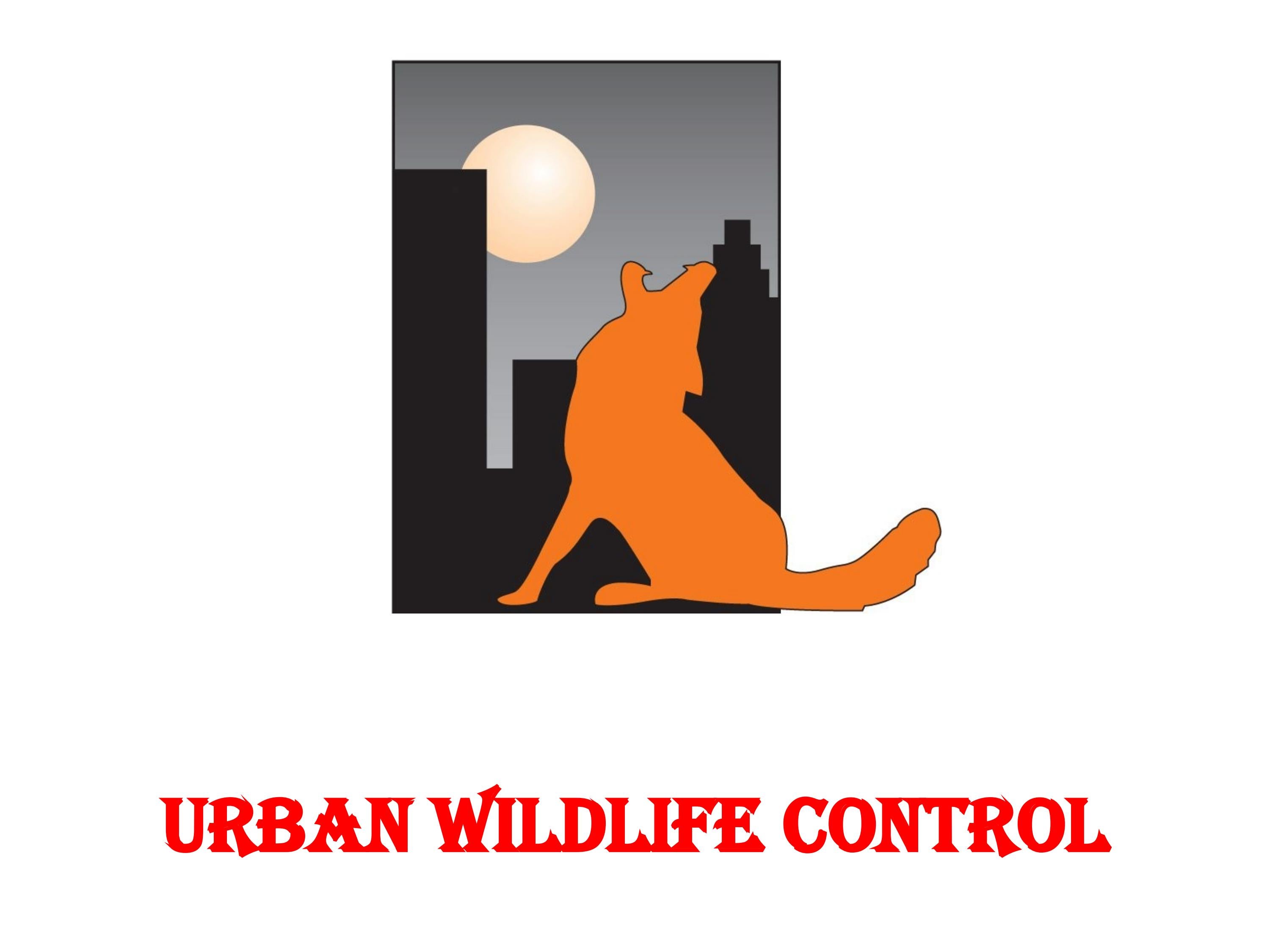 Lowcost pest control services by Urbanwildlifecontrol Issuu