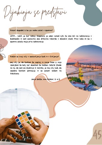 Page 45