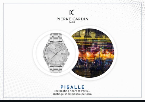 Pierre Cardin - Watch 灯饰目录 第 19 页