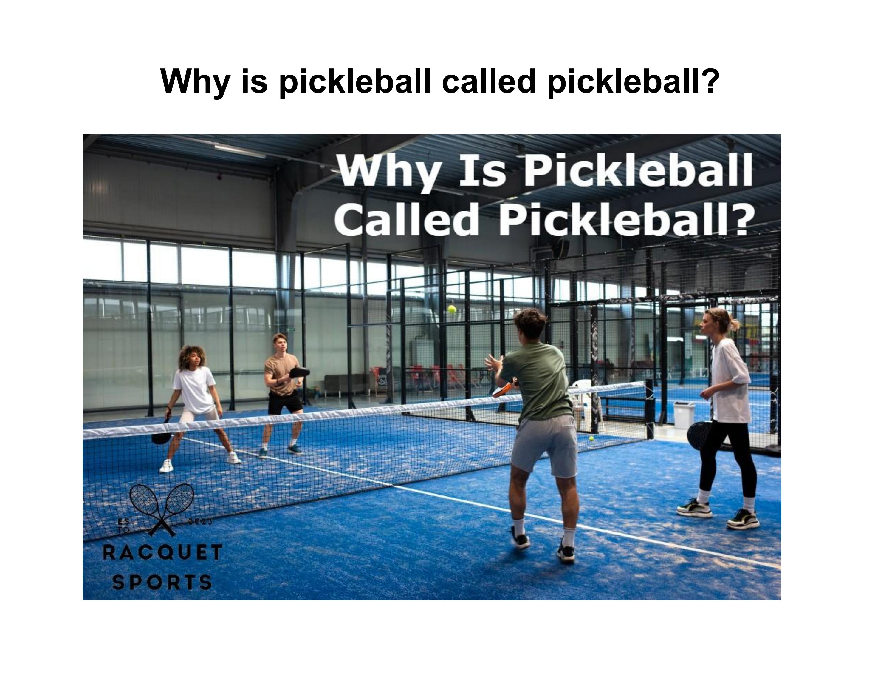 Why is pickleball called pickleball? by Raquet Sports Issuu