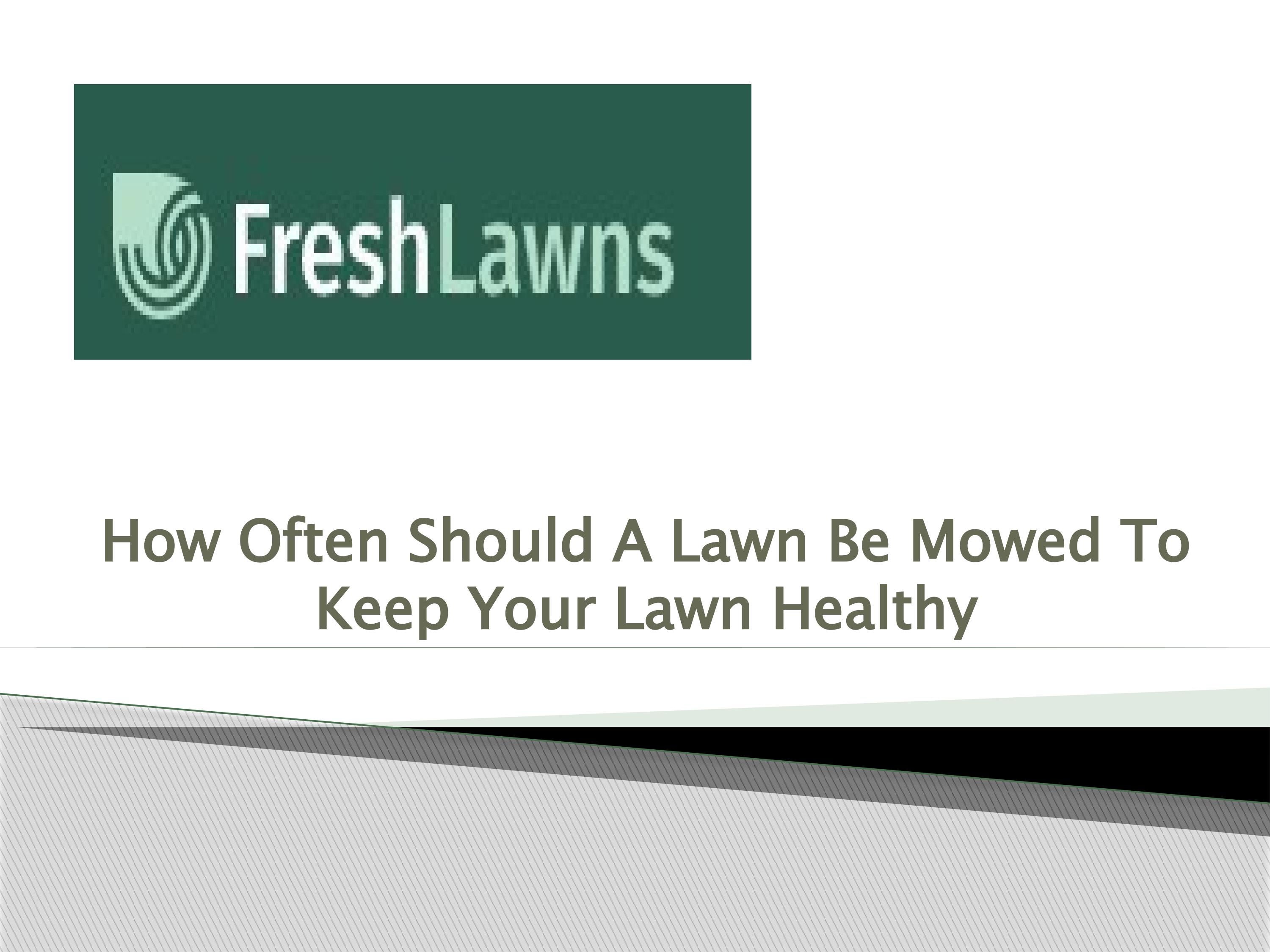 How Often Should A Lawn Be Mowed To Keep Your Lawn Healthy By how-often-should-a-lawn-be-mowed-to-keep-your-lawn-healthy-by